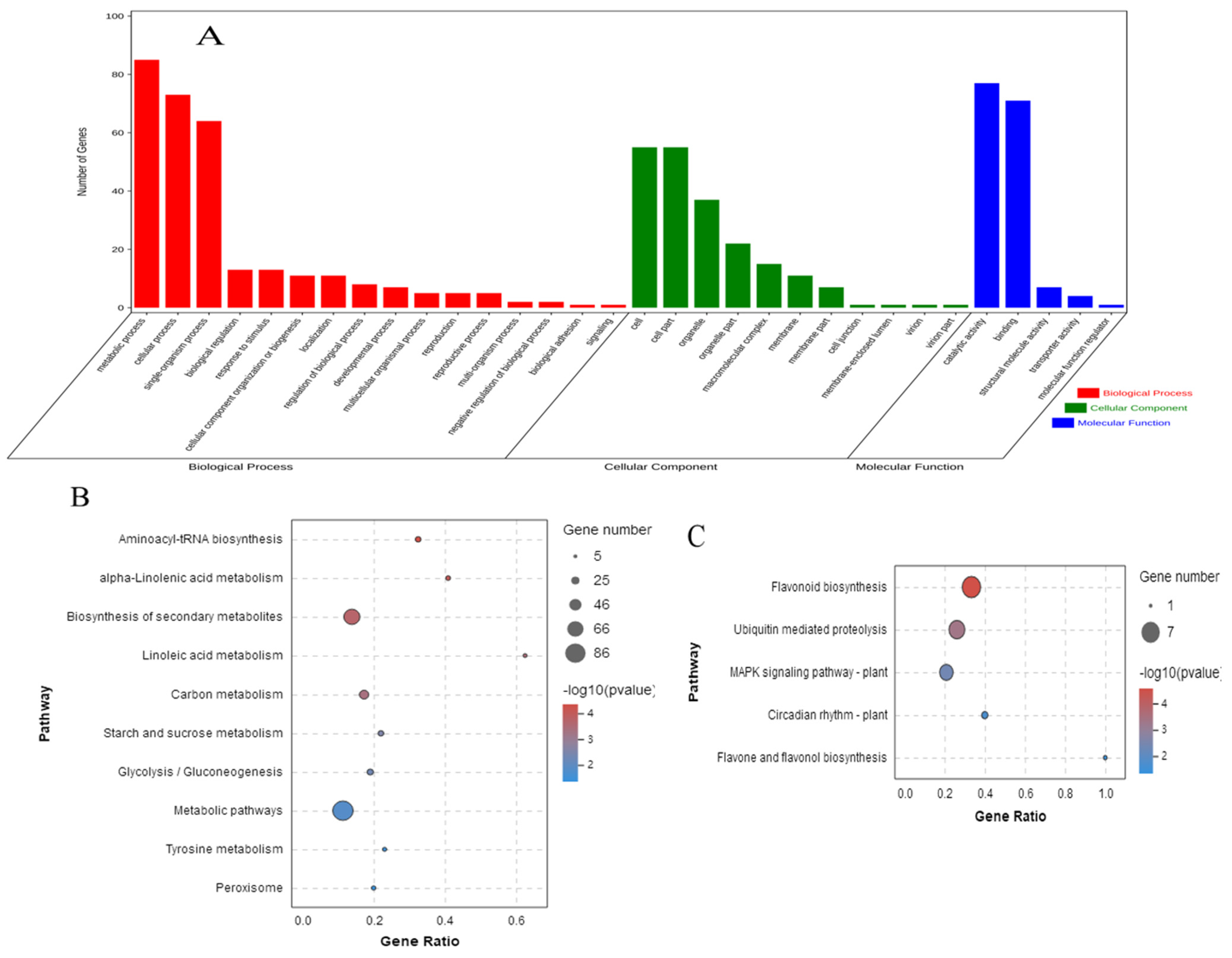 Horticulturae 07 00501 g006
