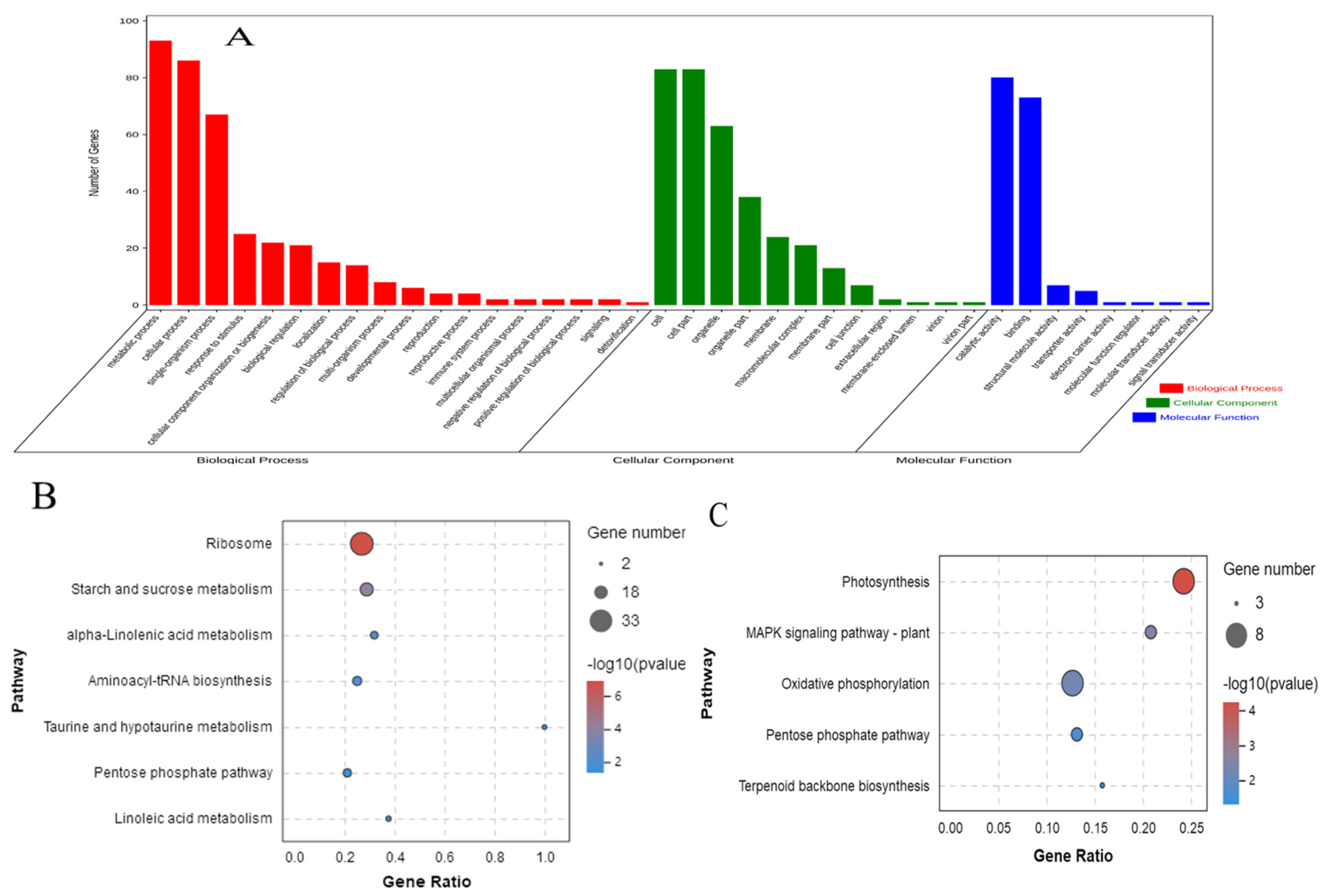 Horticulturae 07 00501 g007