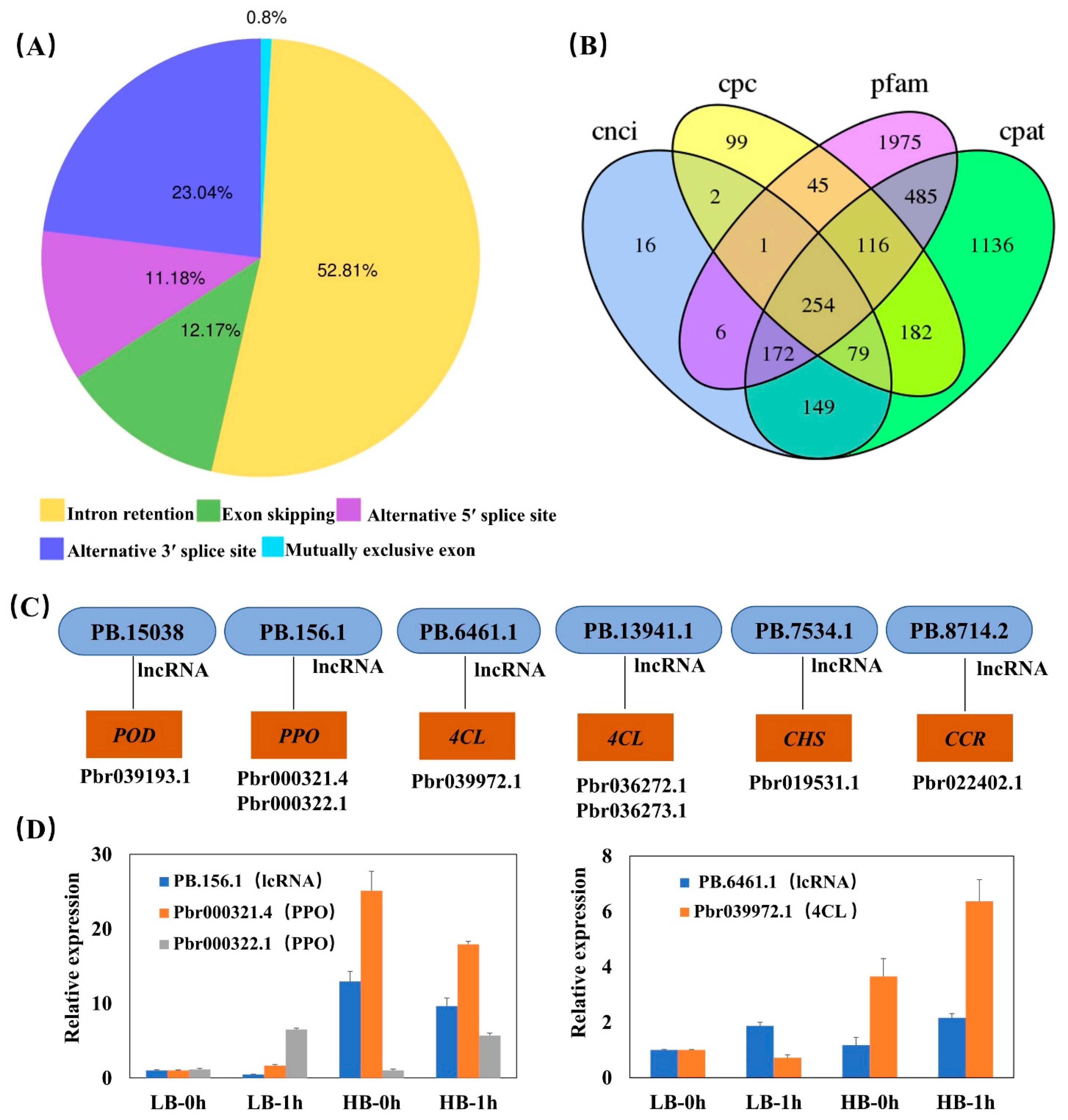 Horticulturae 07 00502 g002 550