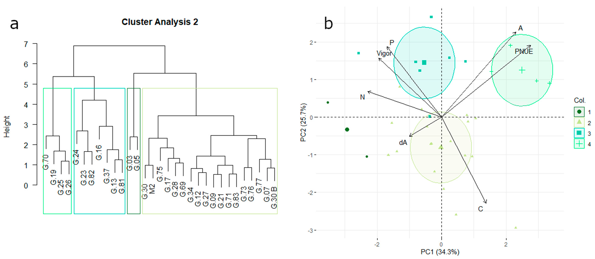 Horticulturae 07 00503 g002