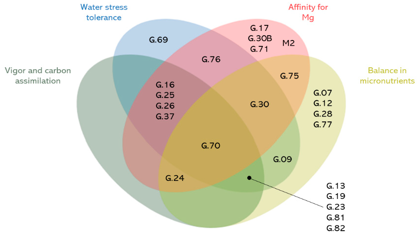 Horticulturae 07 00503 g005