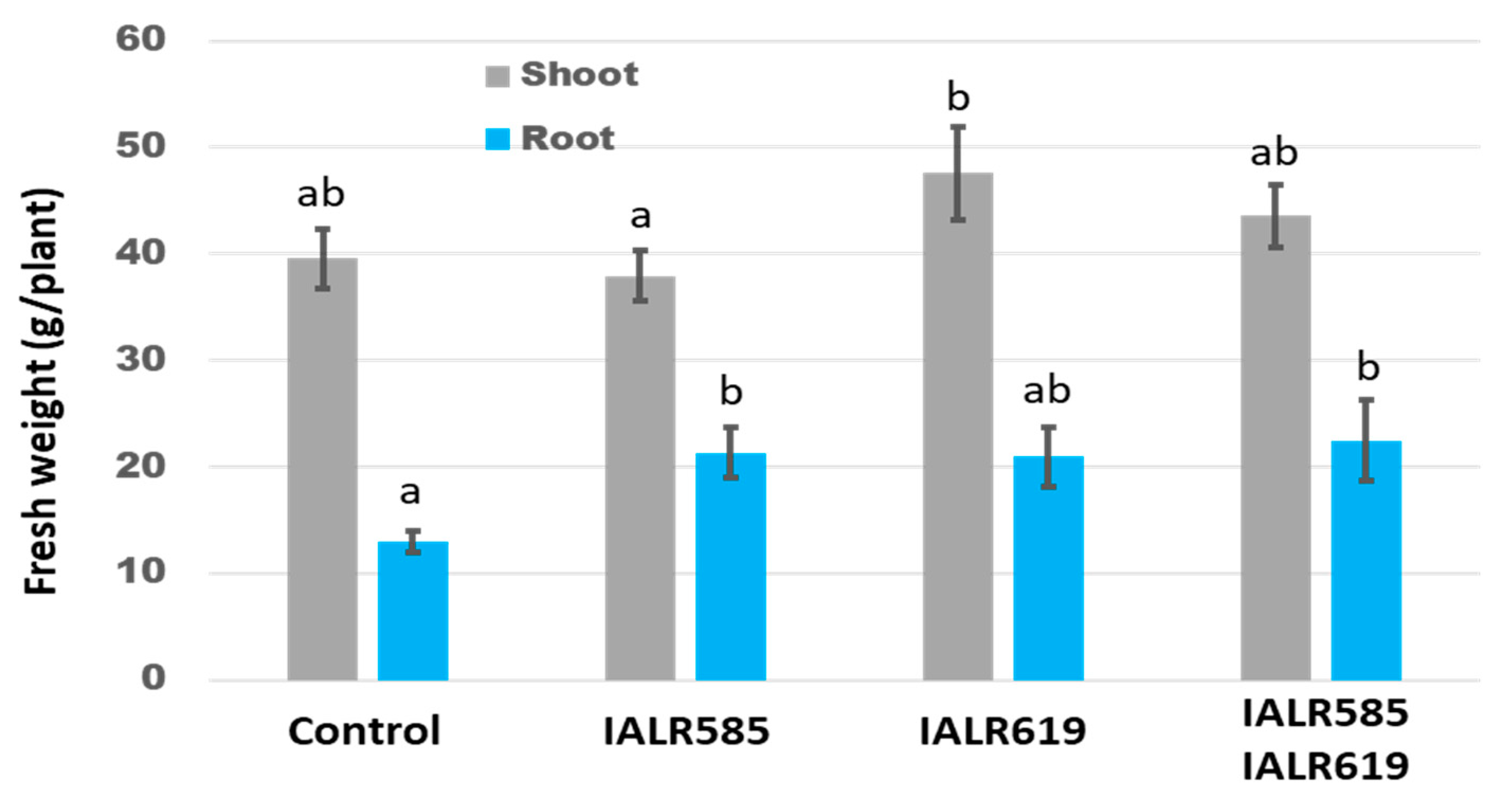 Horticulturae 07 00504 g003 550