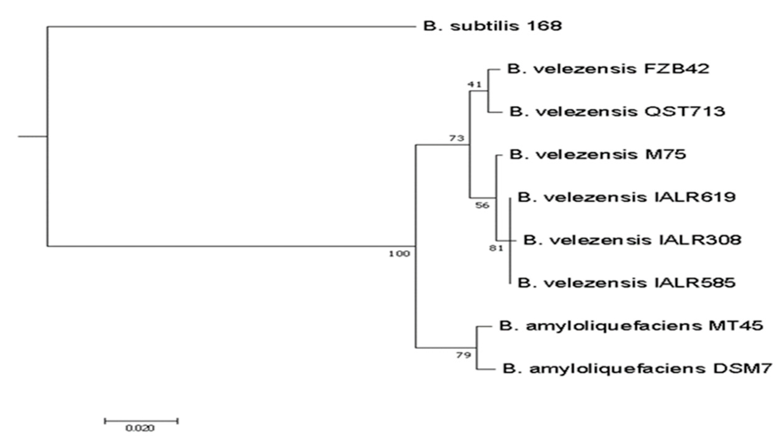 Horticulturae 07 00504 g004 550