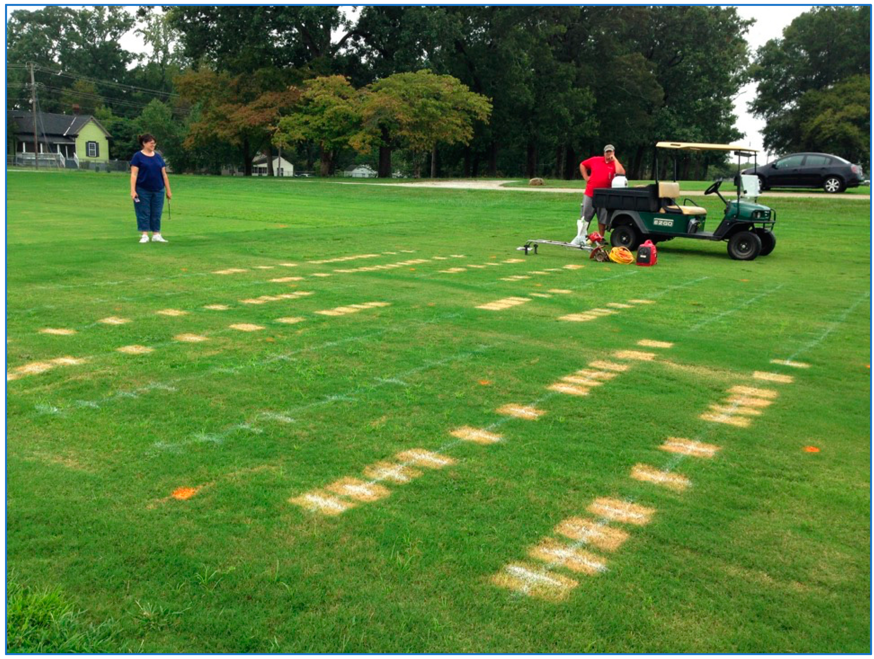 Horticulturae 07 00505 g002 550