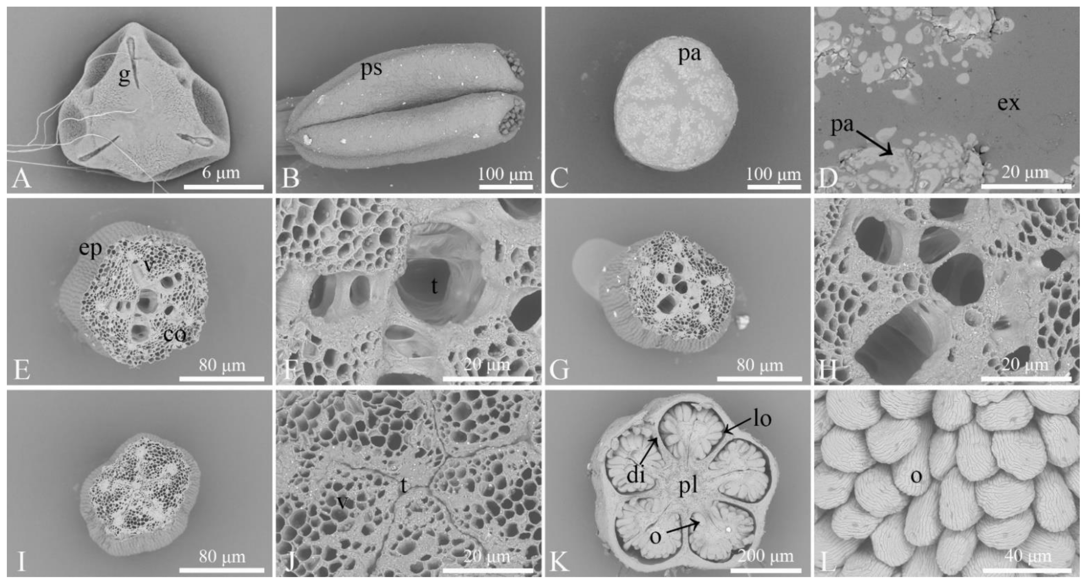 Horticulturae 07 00508 g001