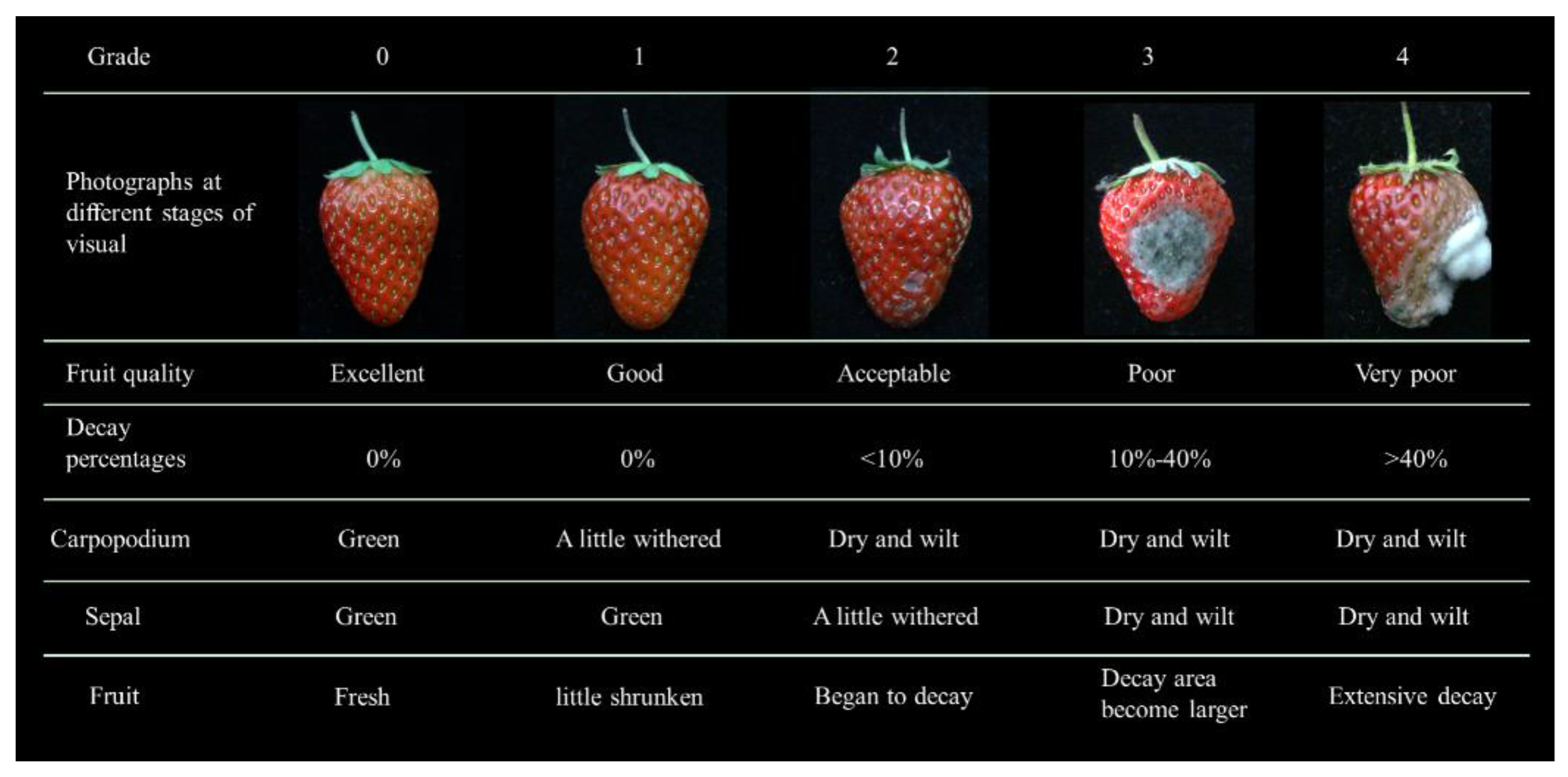 Horticulturae 07 00518 g002