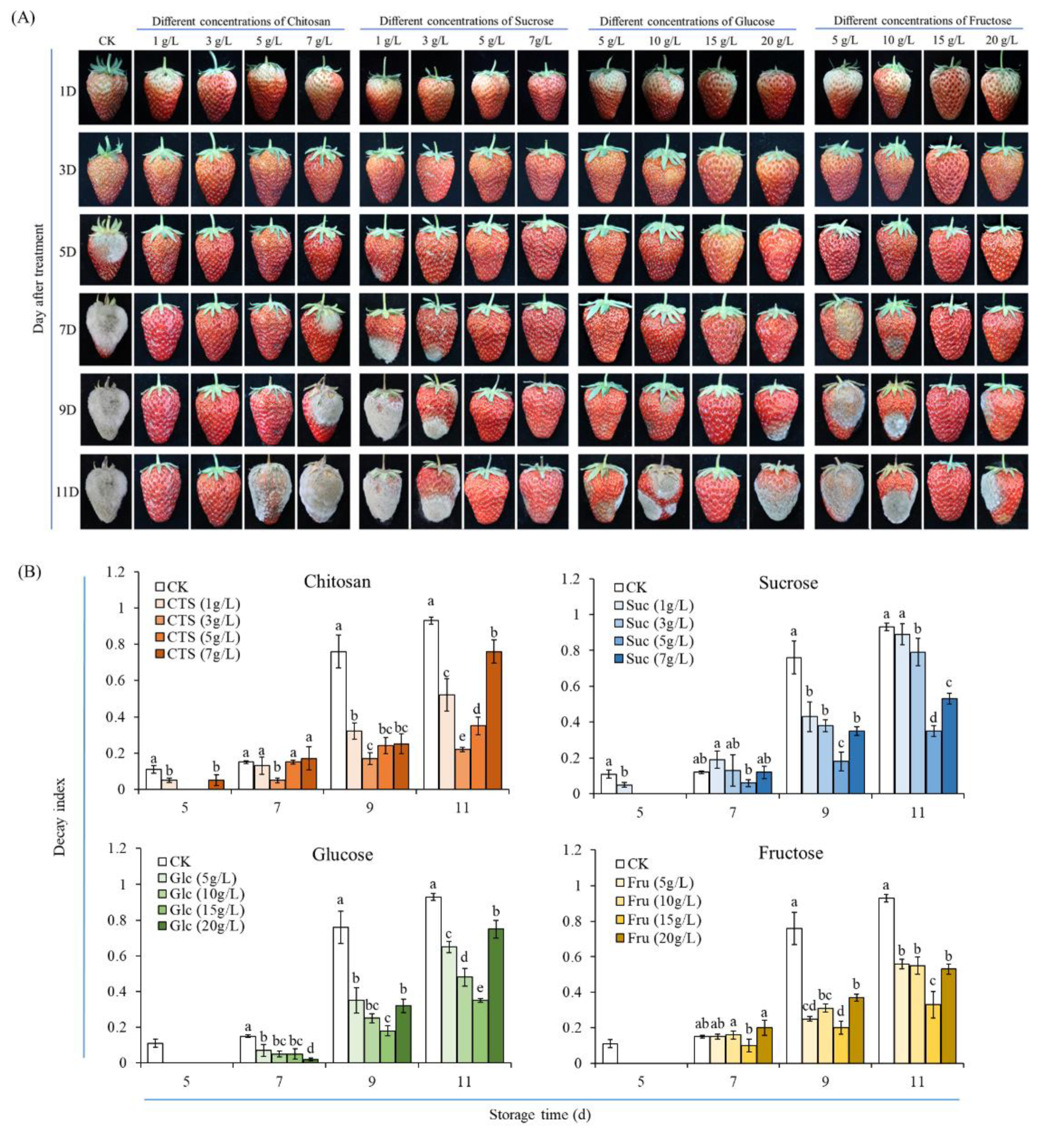 Horticulturae 07 00518 g003