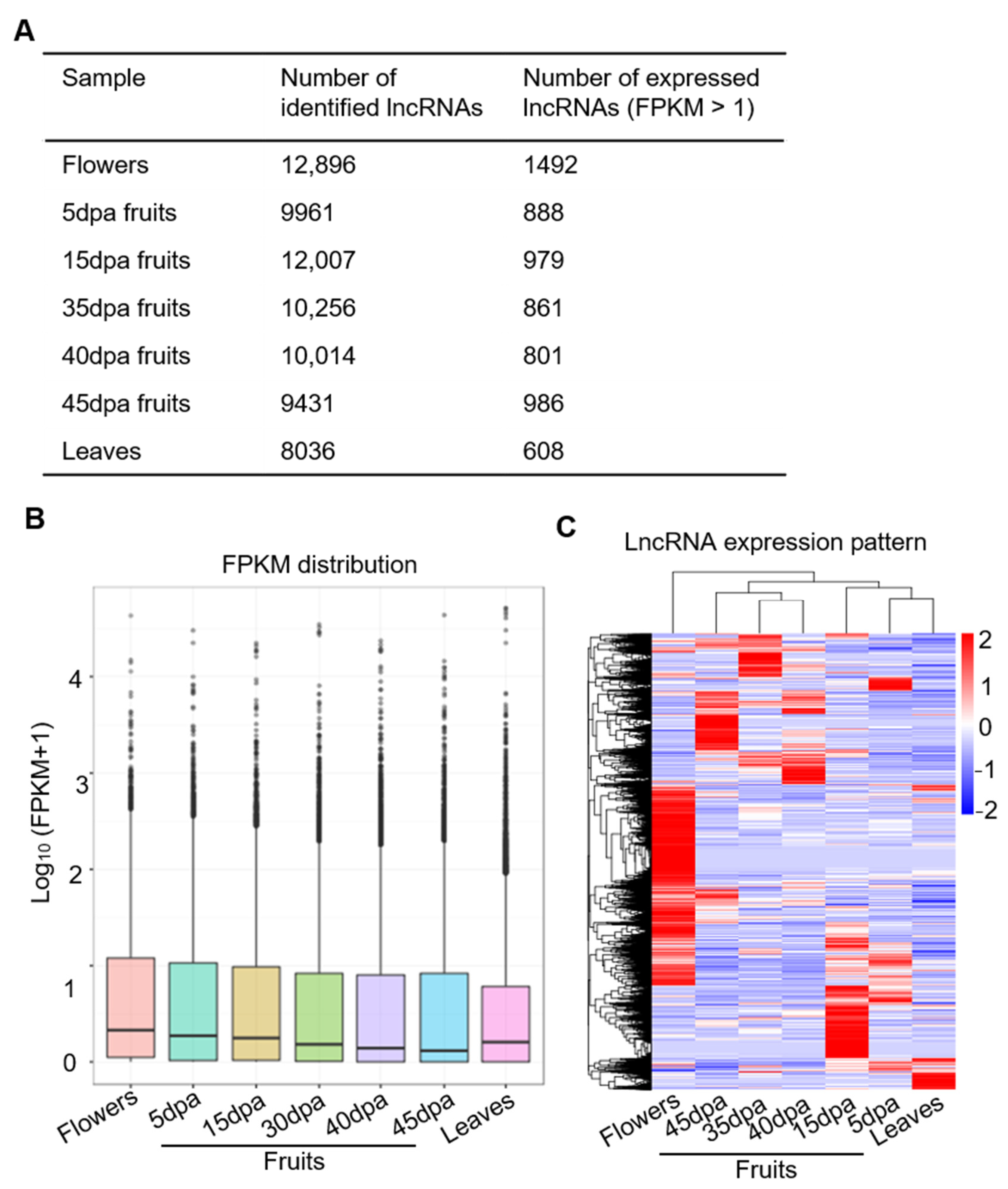 Horticulturae 07 00522 g002