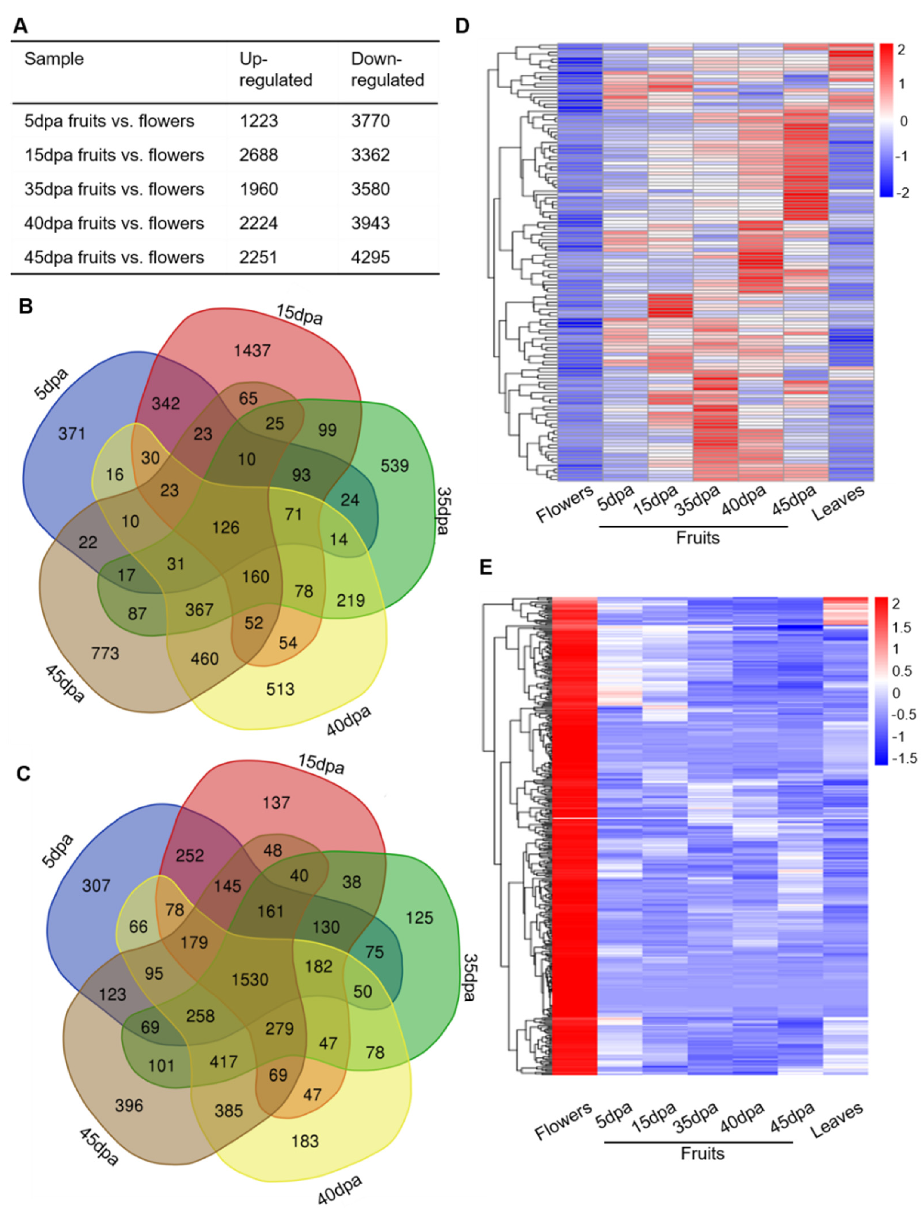 Horticulturae 07 00522 g004