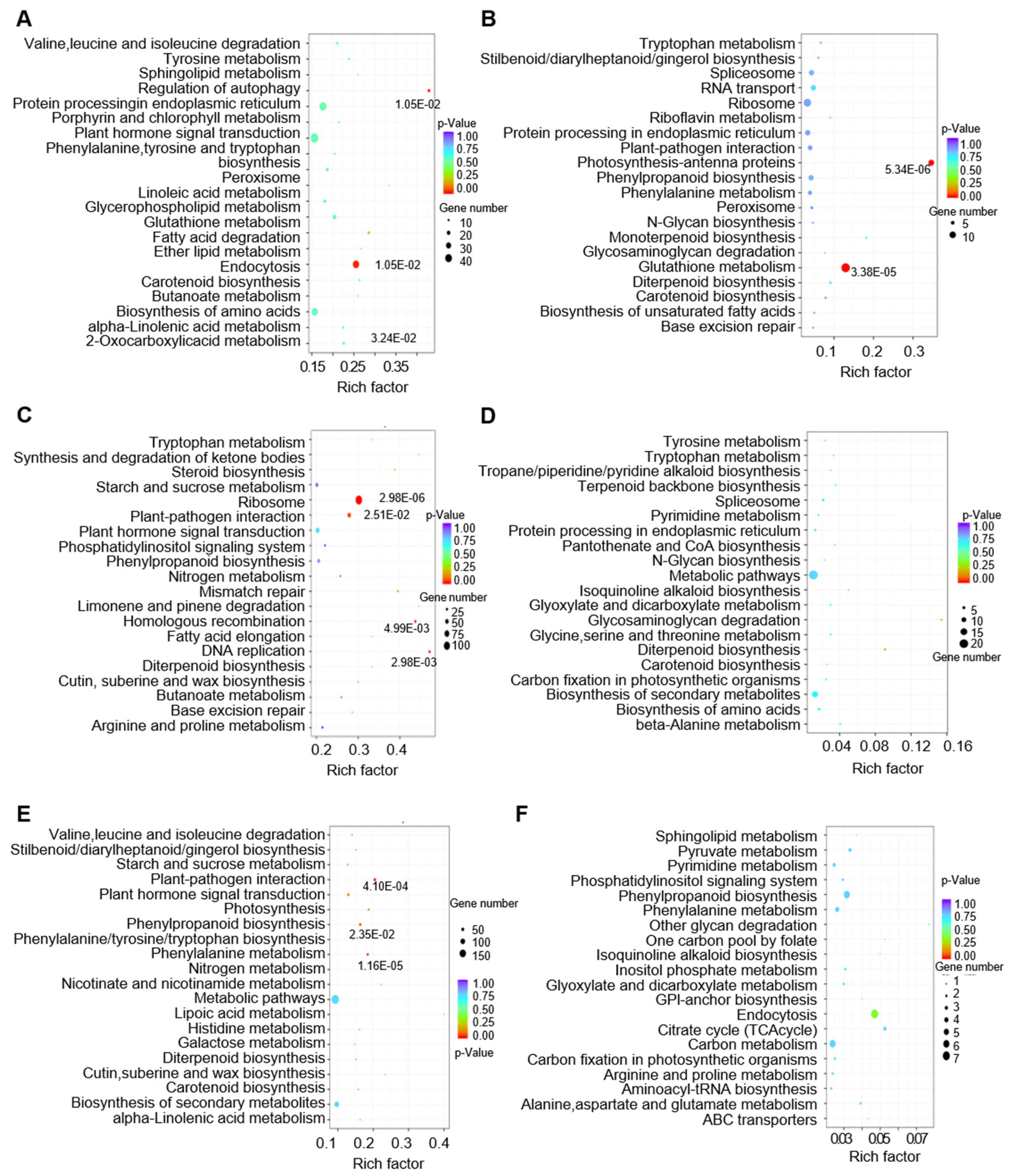 Horticulturae 07 00522 g006