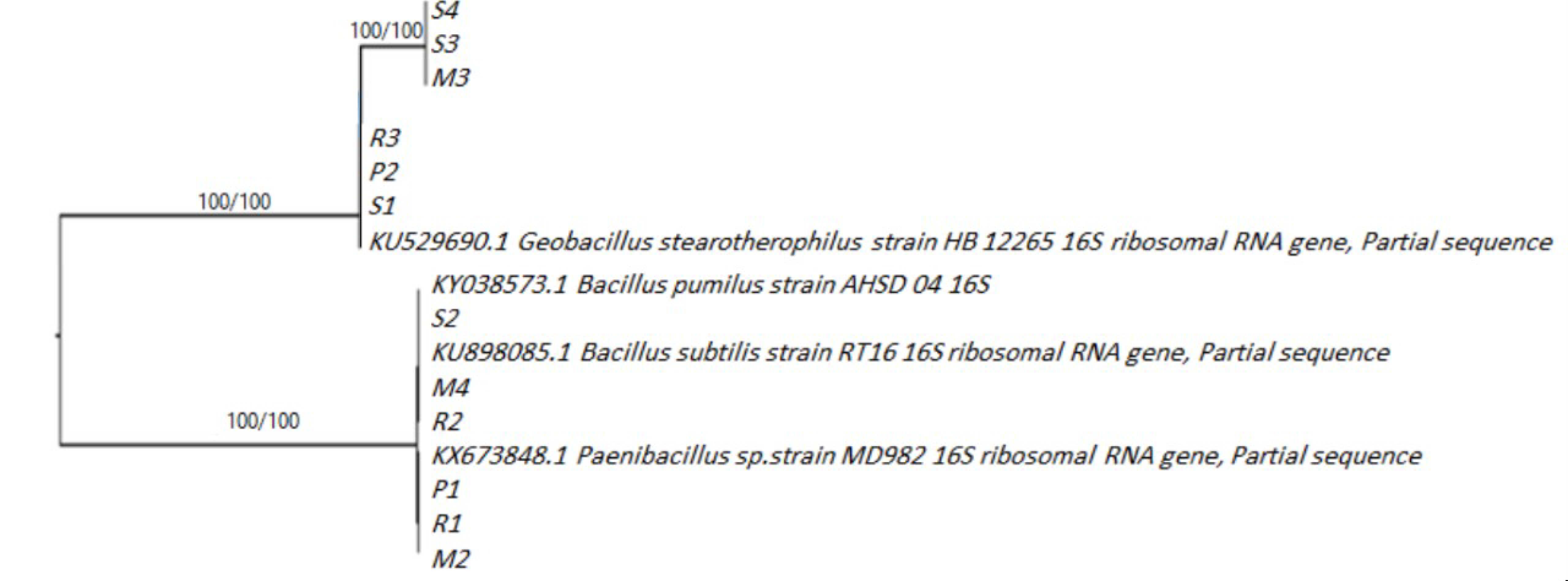 Horticulturae 07 00526 g002 Horticulturae 07 00526 g002