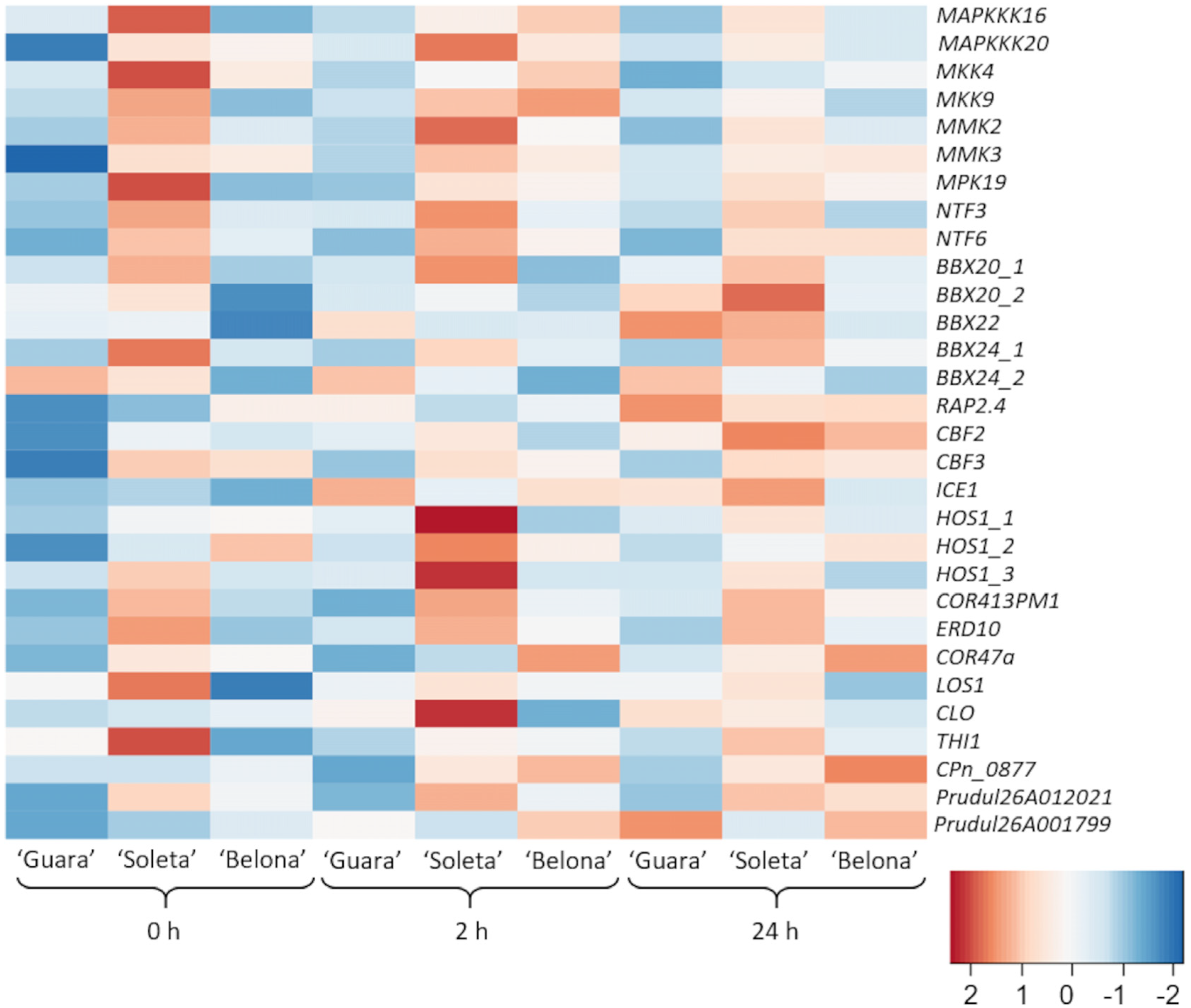 Horticulturae 07 00527 g002