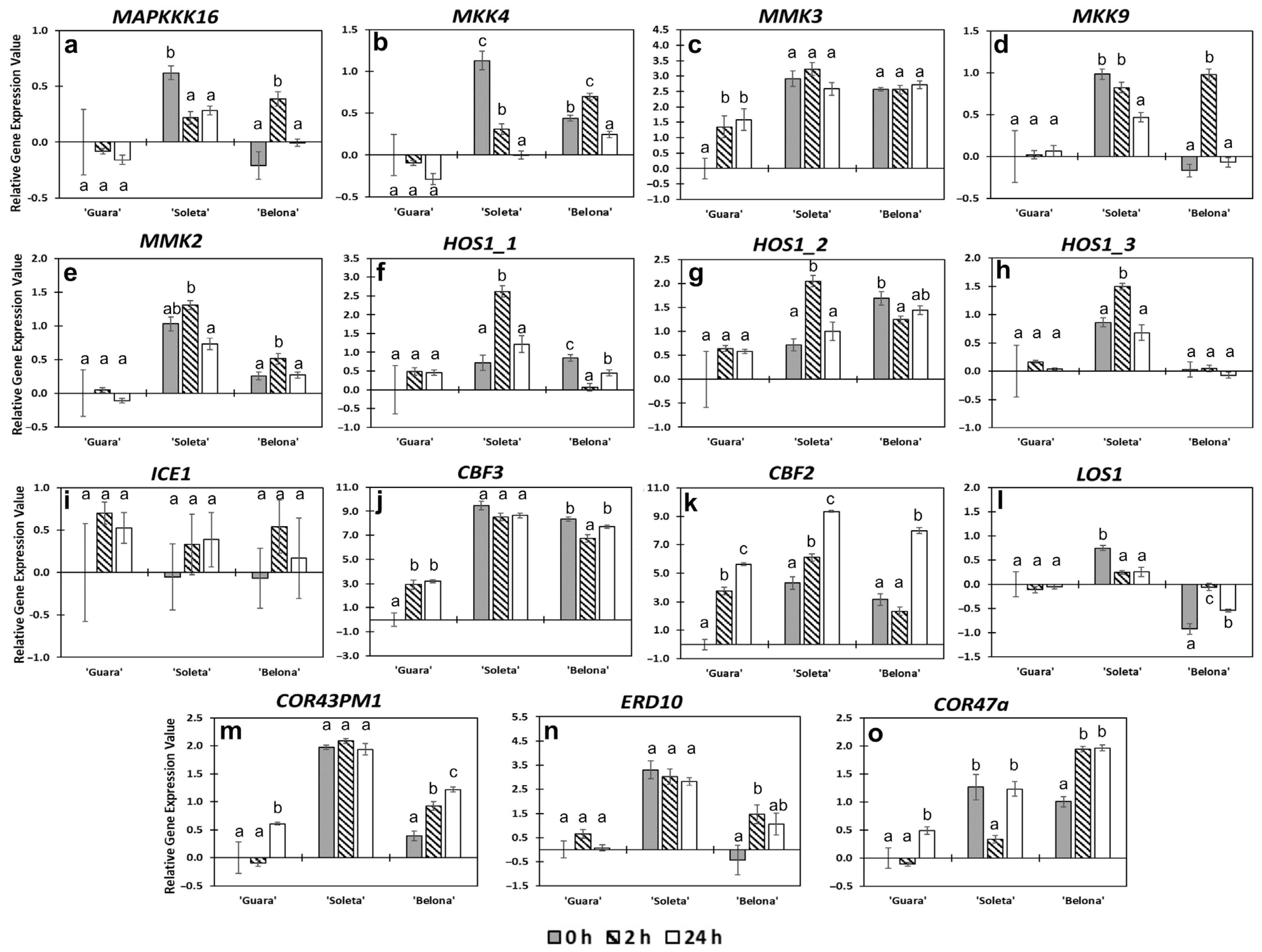 Horticulturae 07 00527 g004
