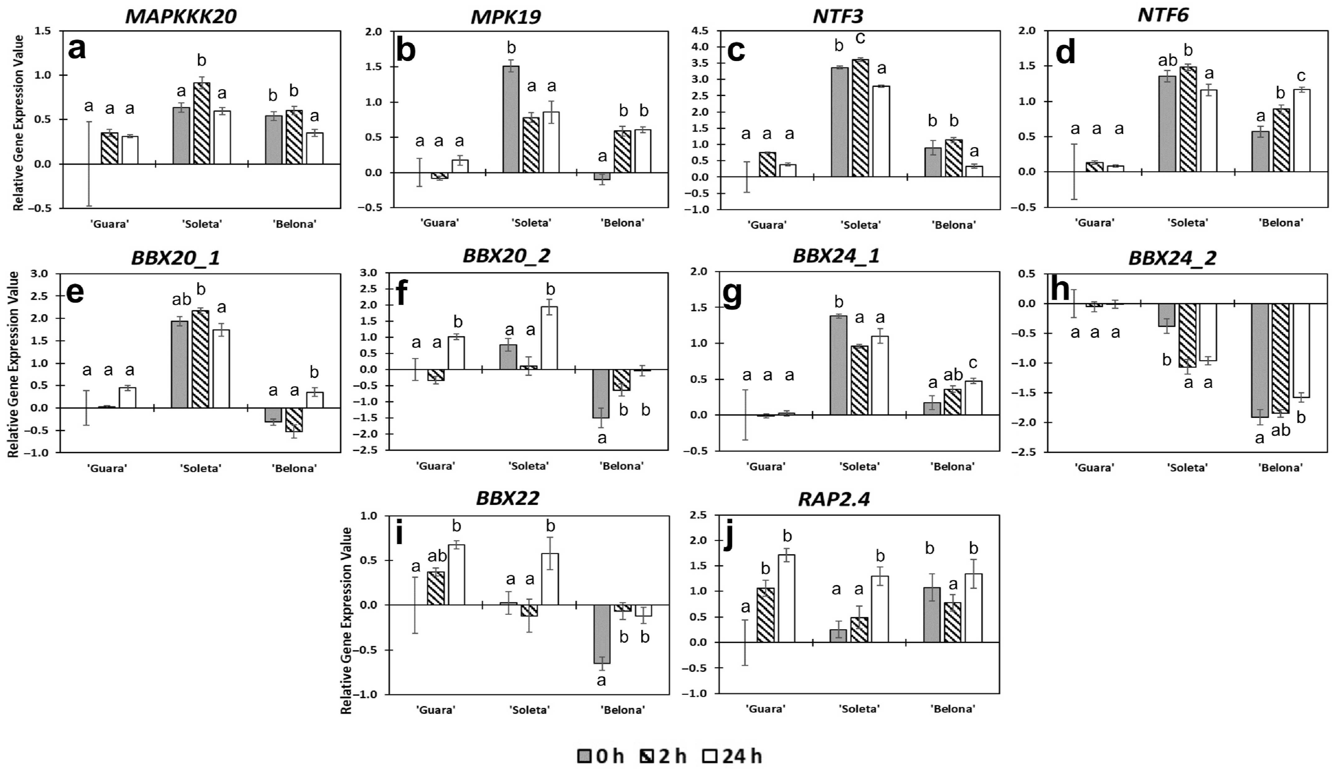 Horticulturae 07 00527 g005