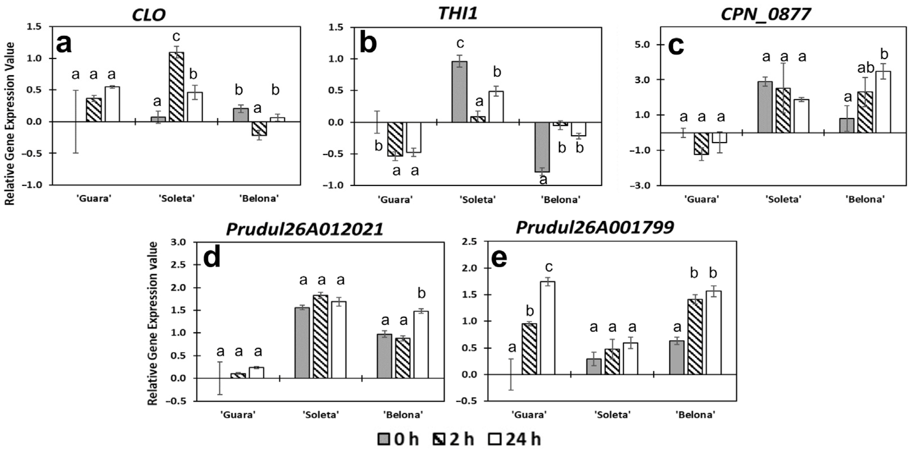 Horticulturae 07 00527 g006