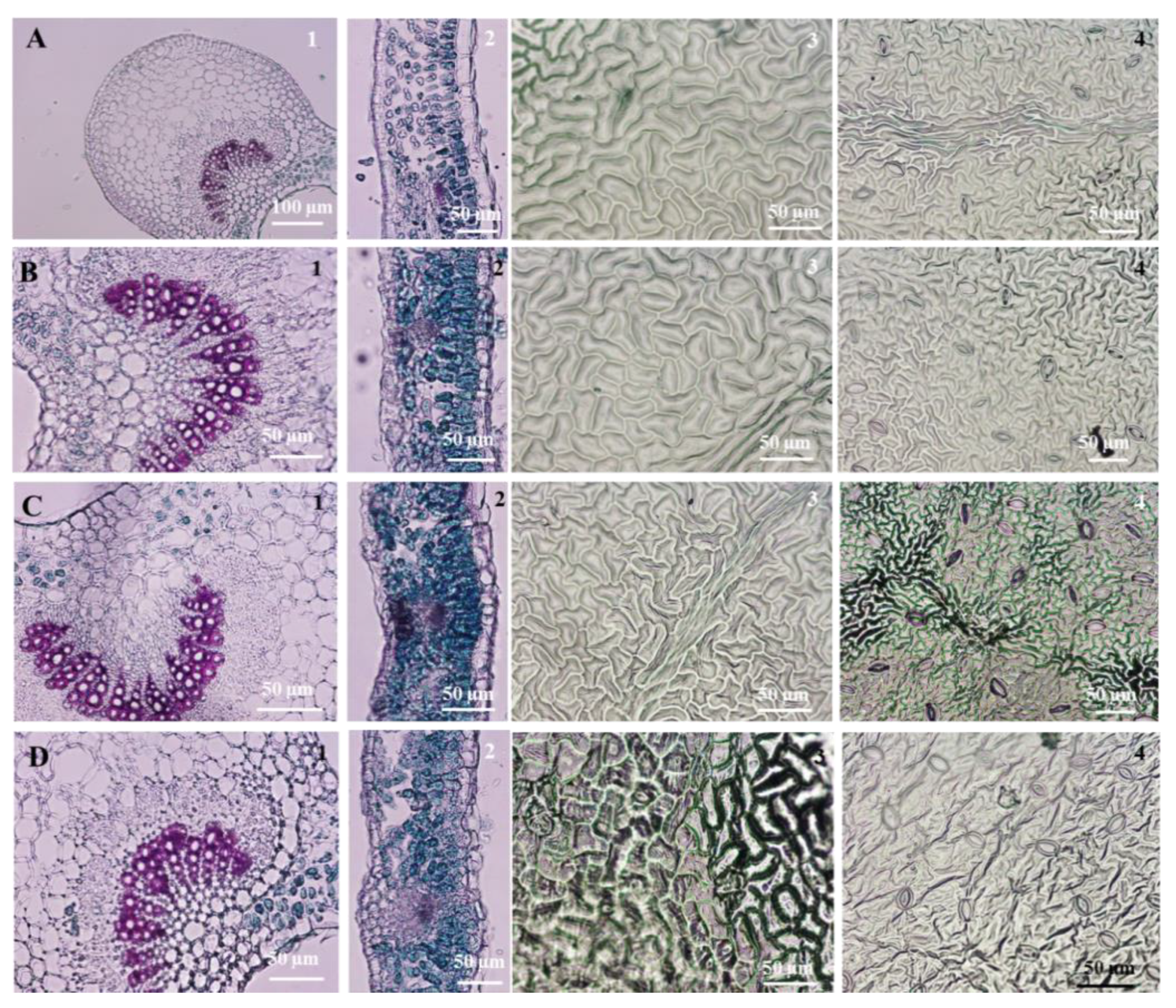 Horticulturae 07 00533 g006 Horticulturae 07 00533 g006