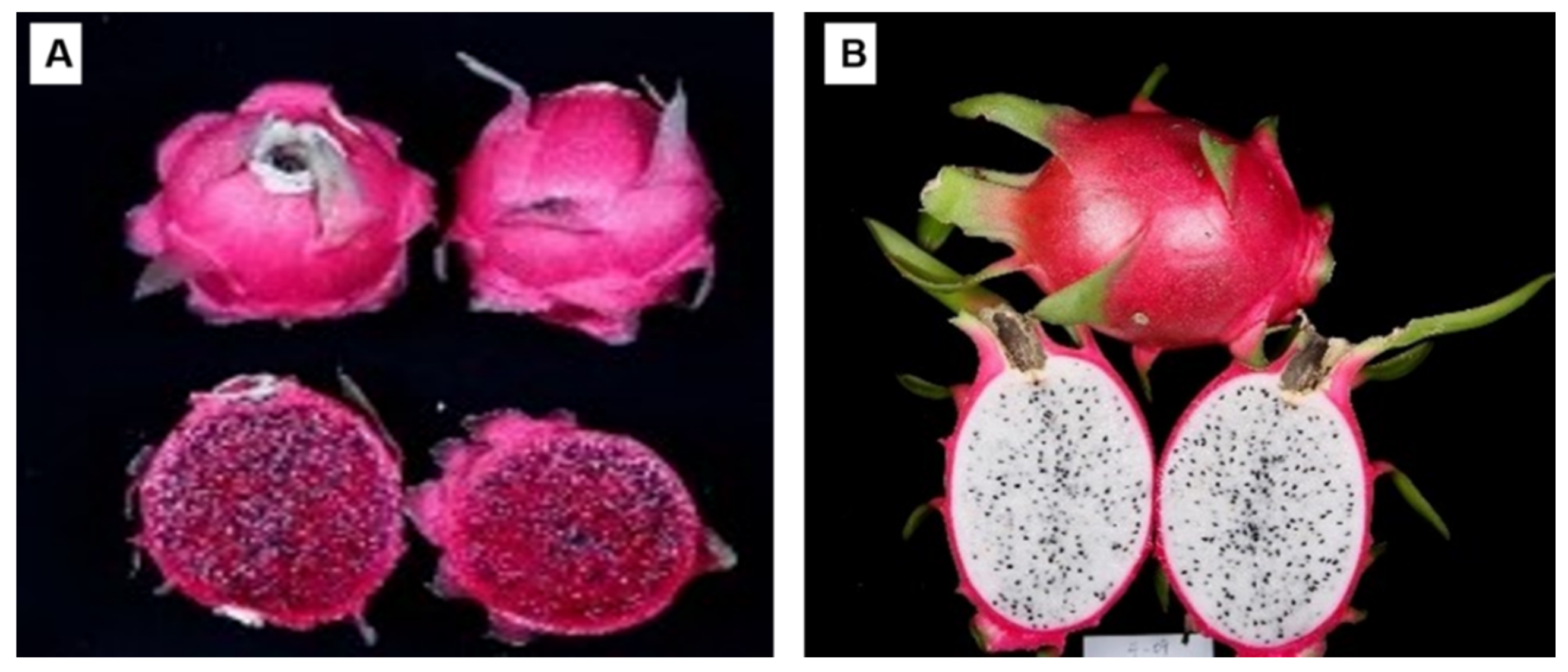 Horticulturae 07 00534 g001