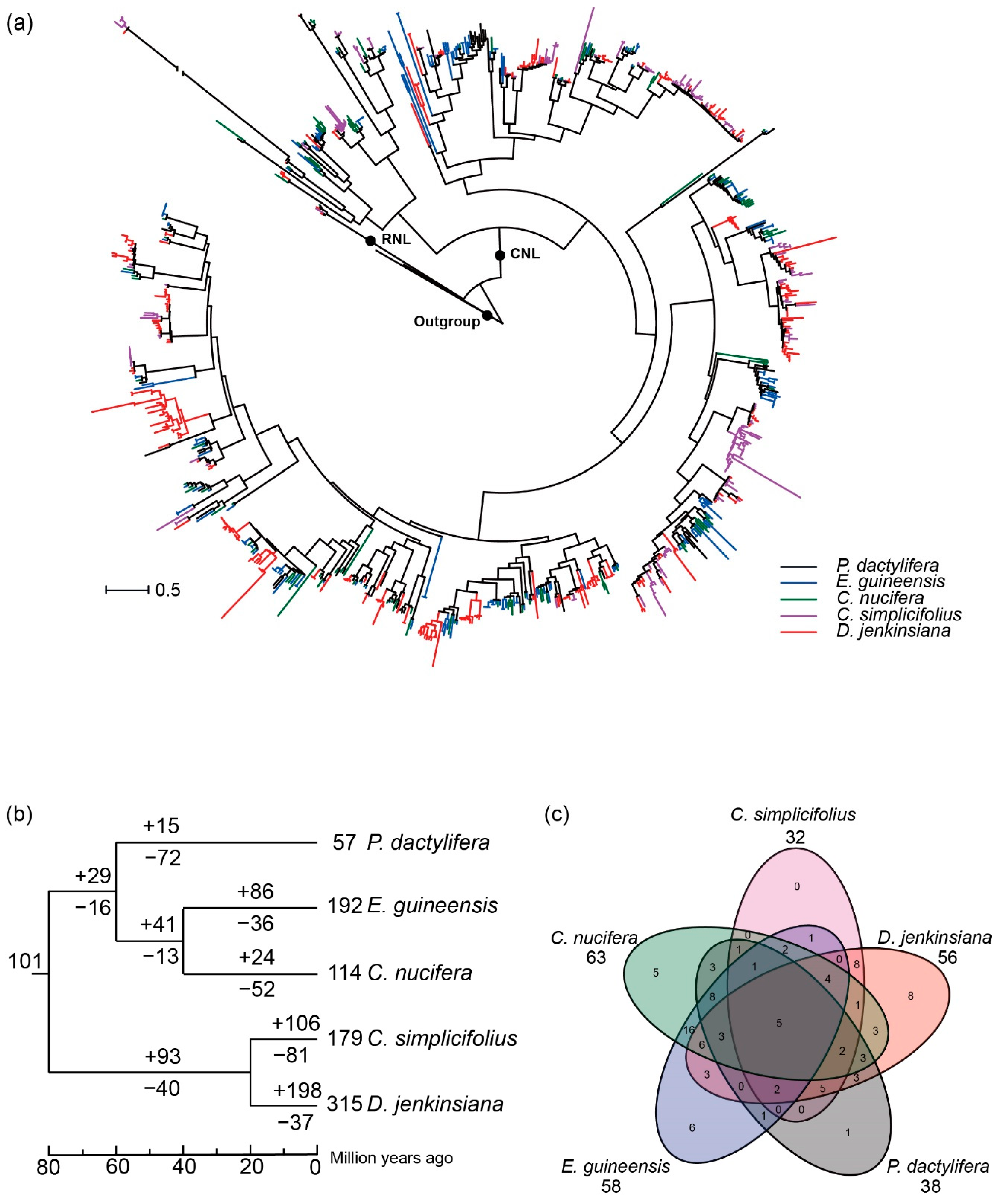 Horticulturae 07 00539 g003