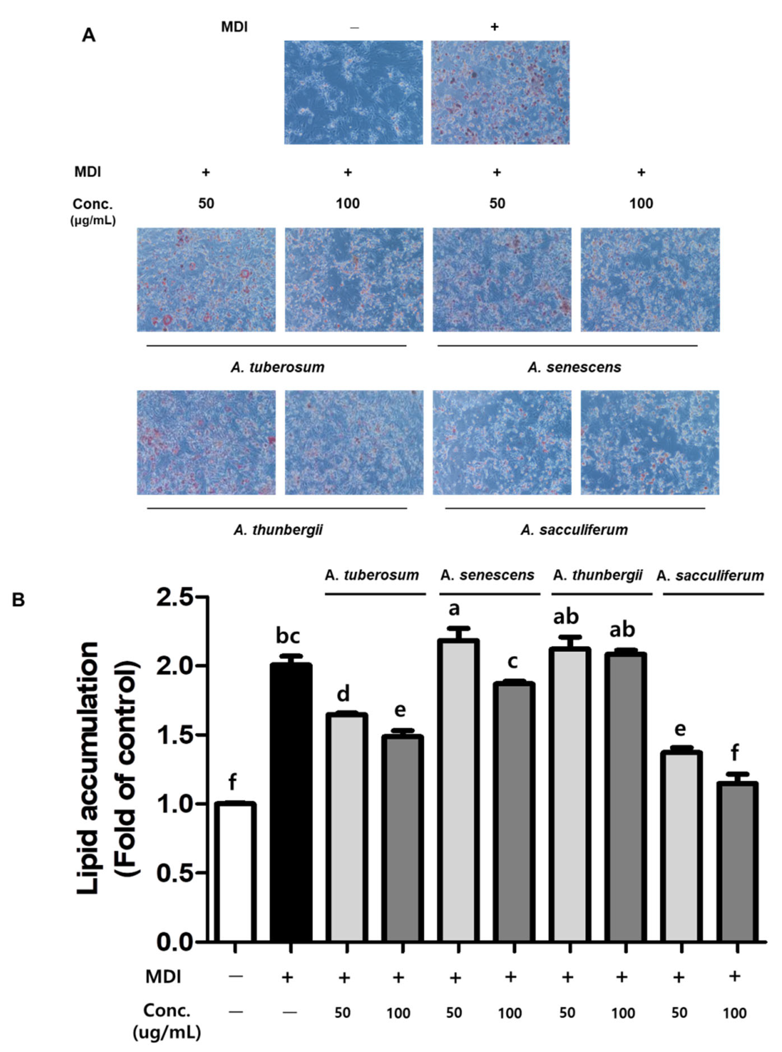 Horticulturae 07 00541 g003 Horticulturae 07 00541 g003