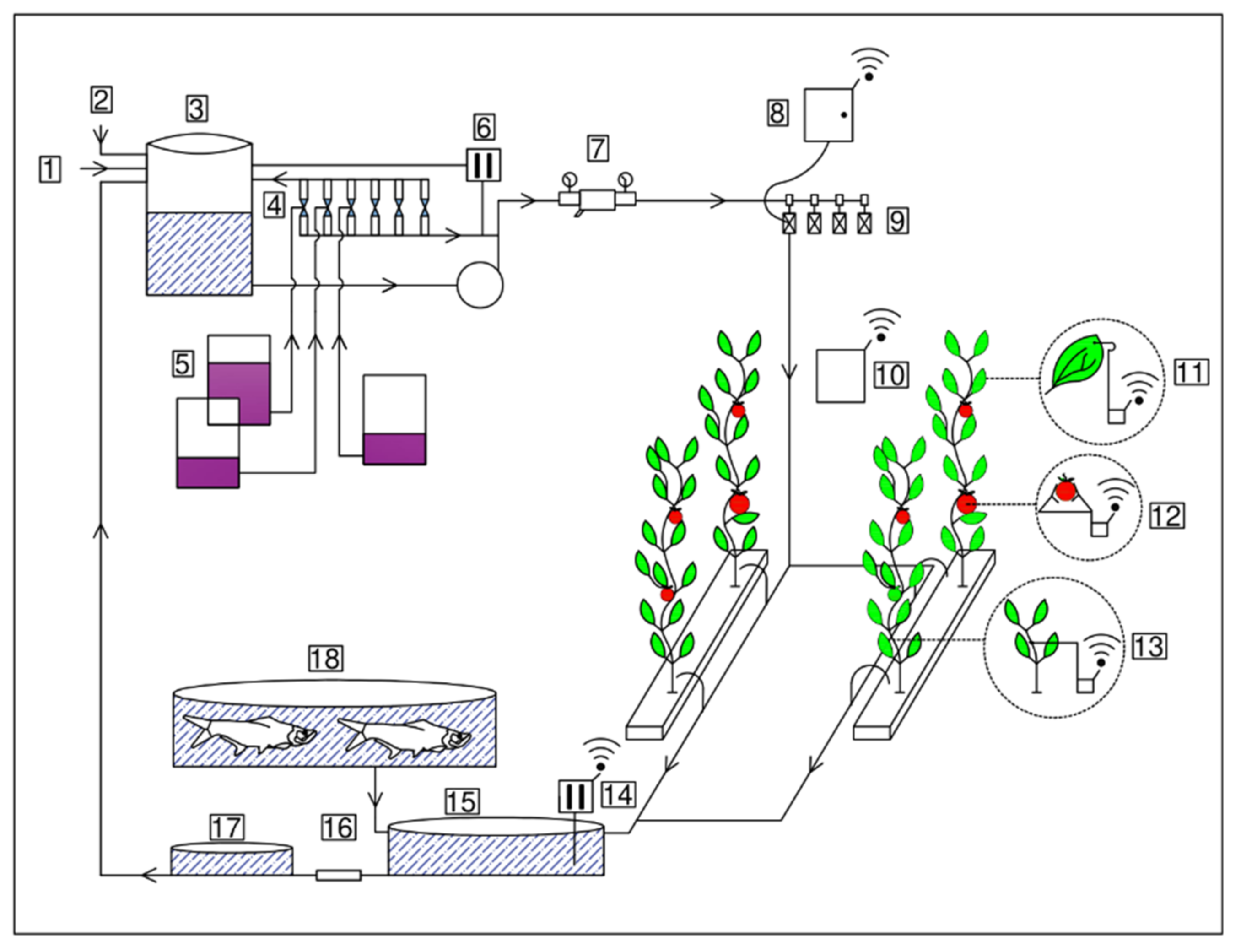 Horticulturae 07 00548 g001 550