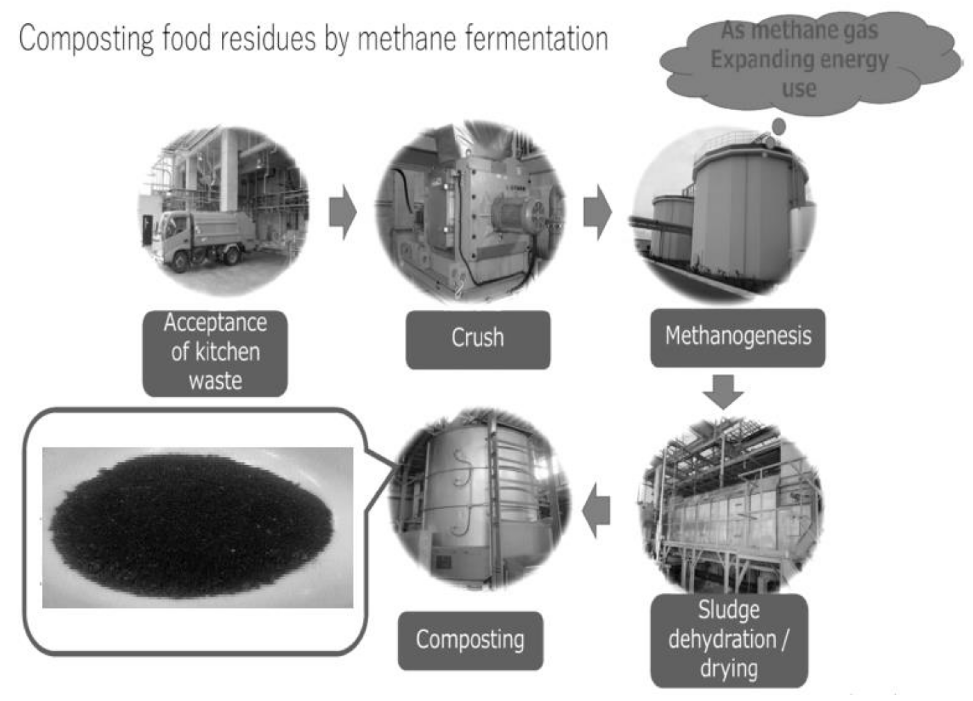 Horticulturae 07 00551 g001 550
