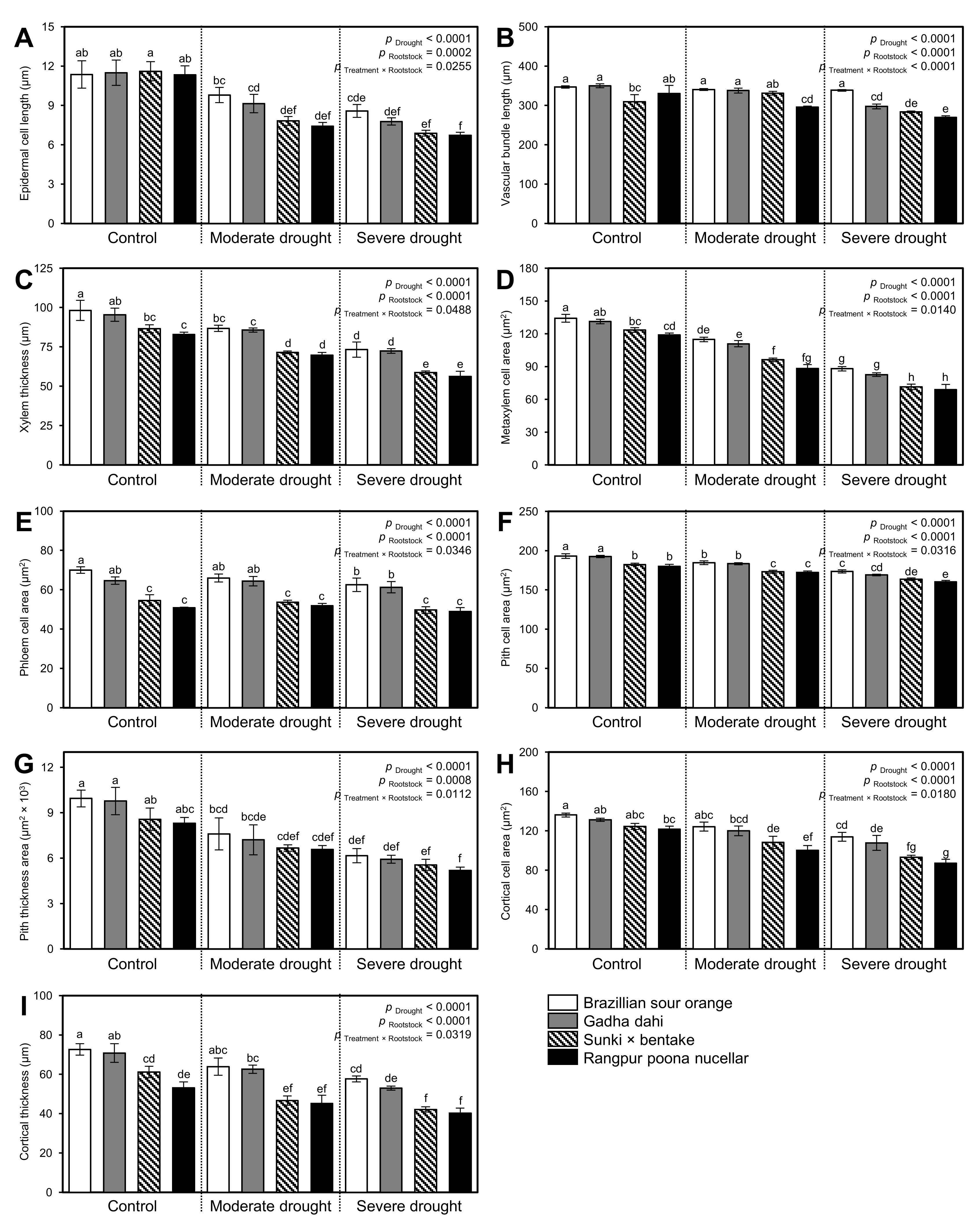 Horticulturae 07 00554 g004