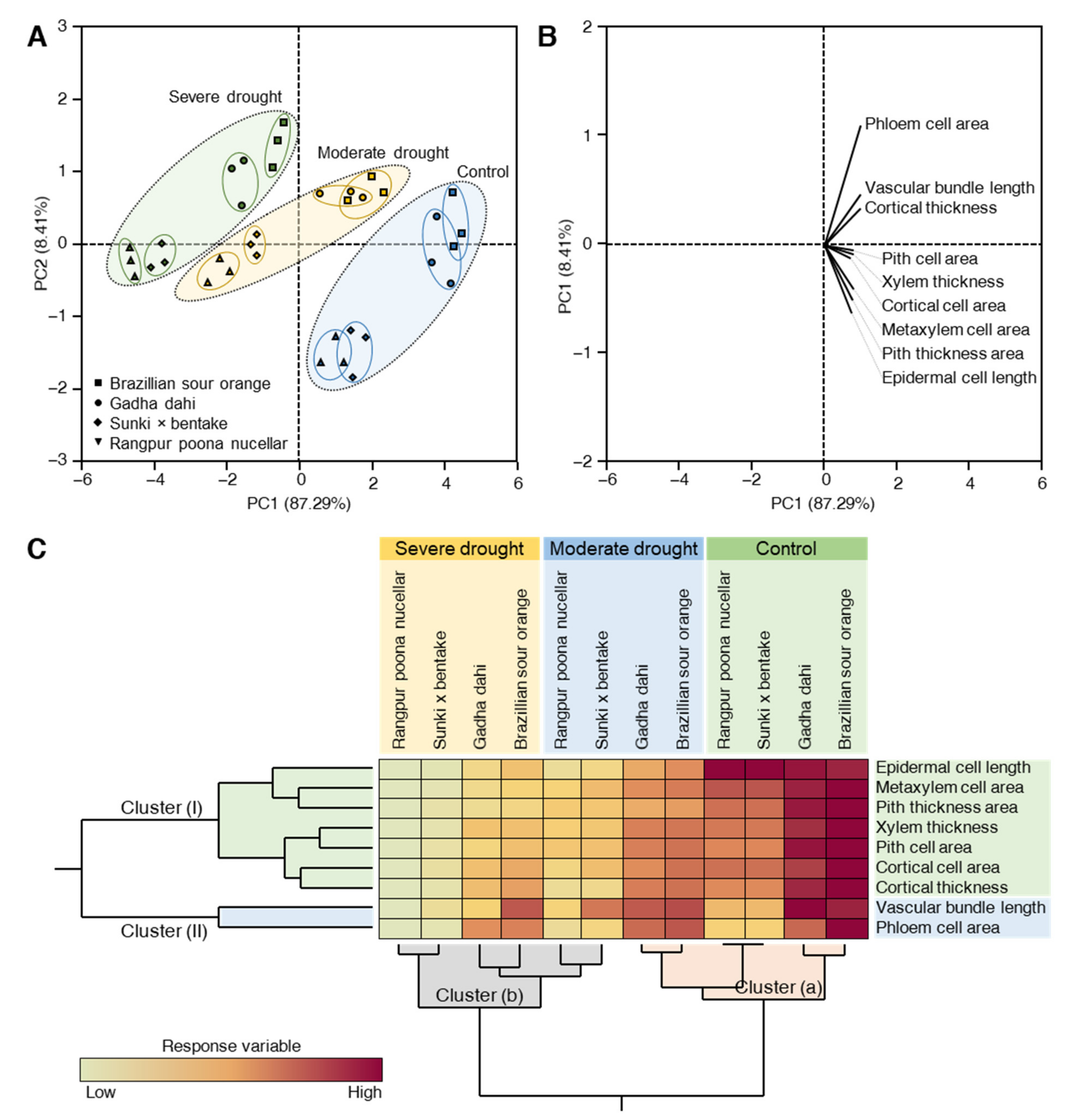 Horticulturae 07 00554 g005