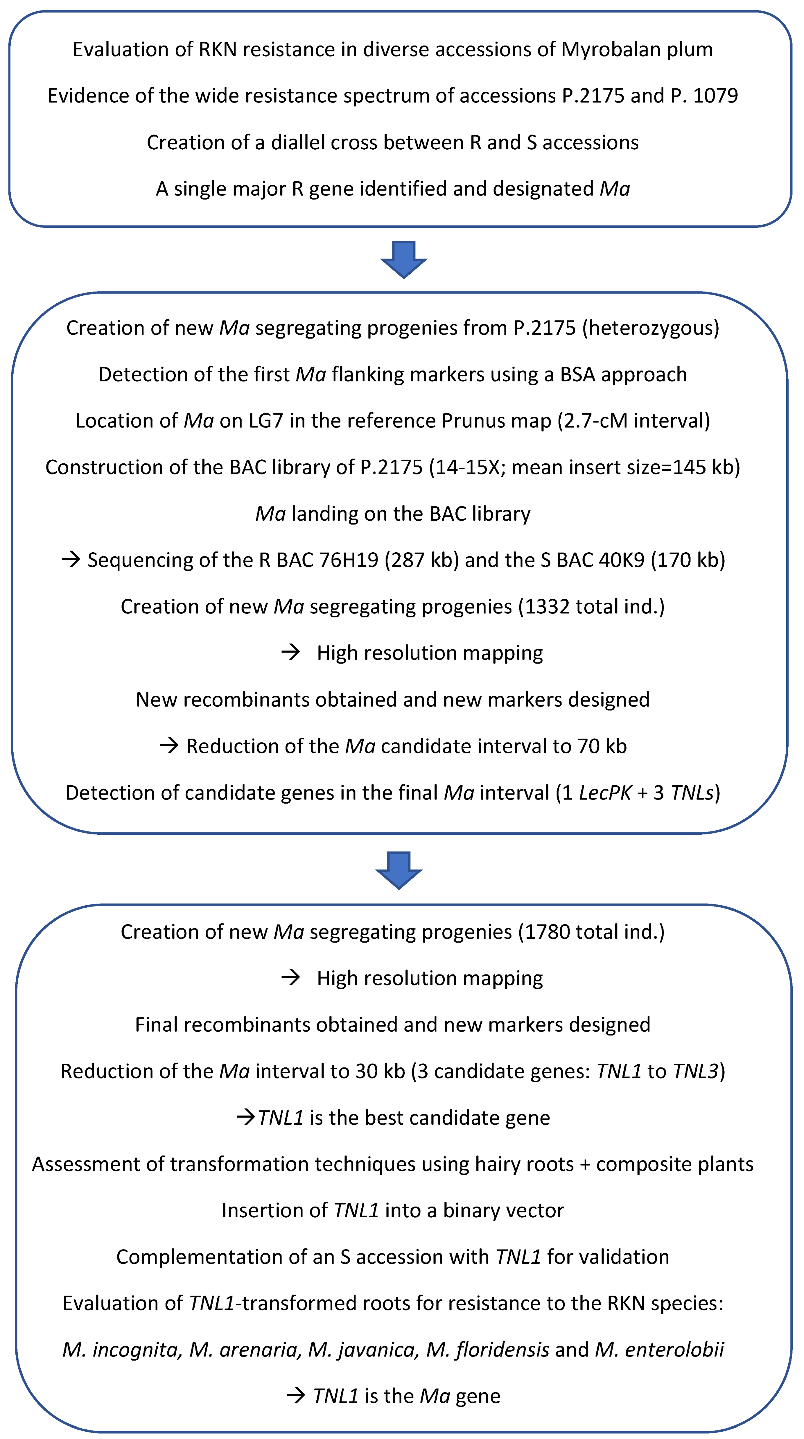 Horticulturae 07 00564 g001 Horticulturae 07 00564 g001