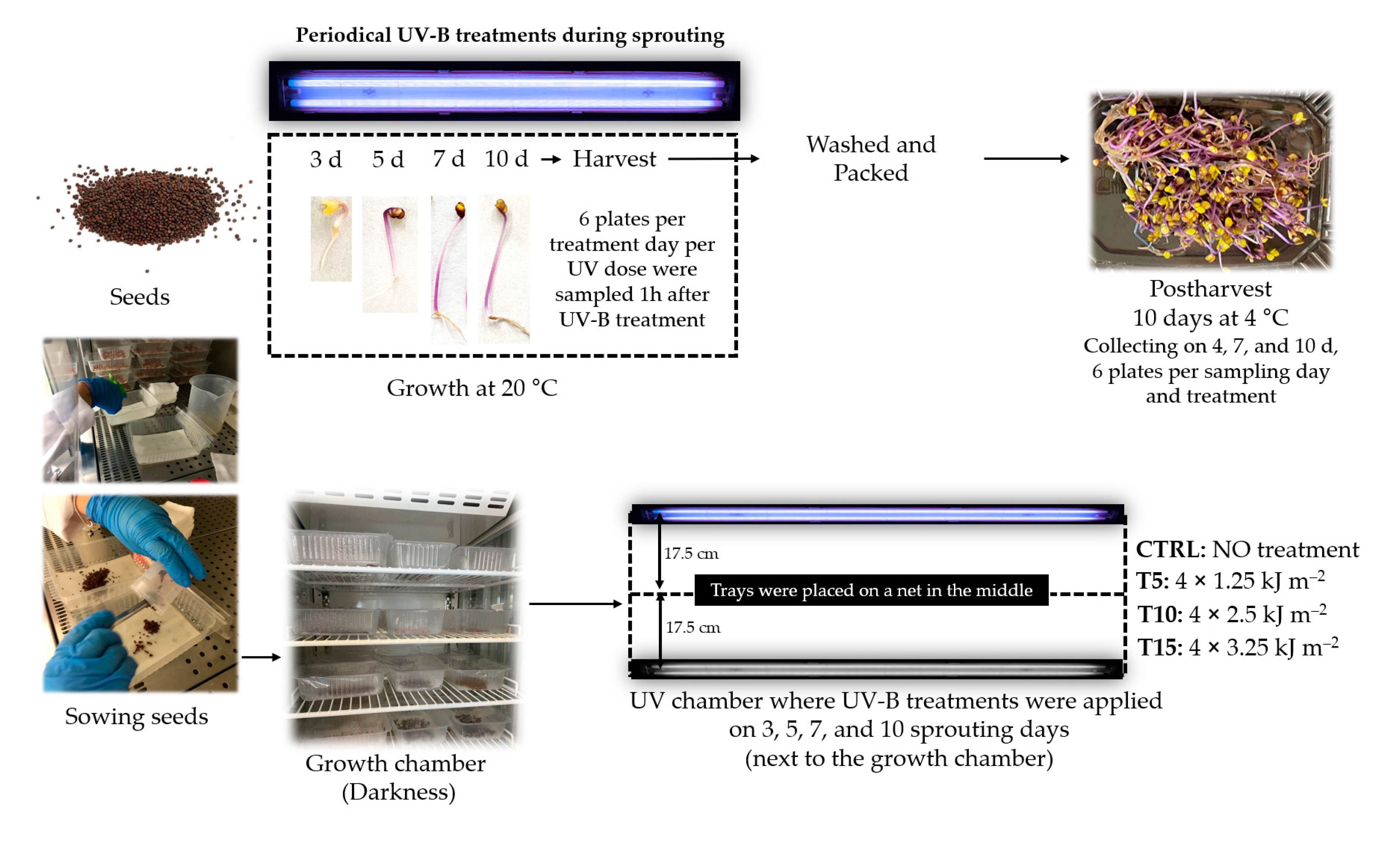 Horticulturae 07 00567 g001 Horticulturae 07 00567 g001