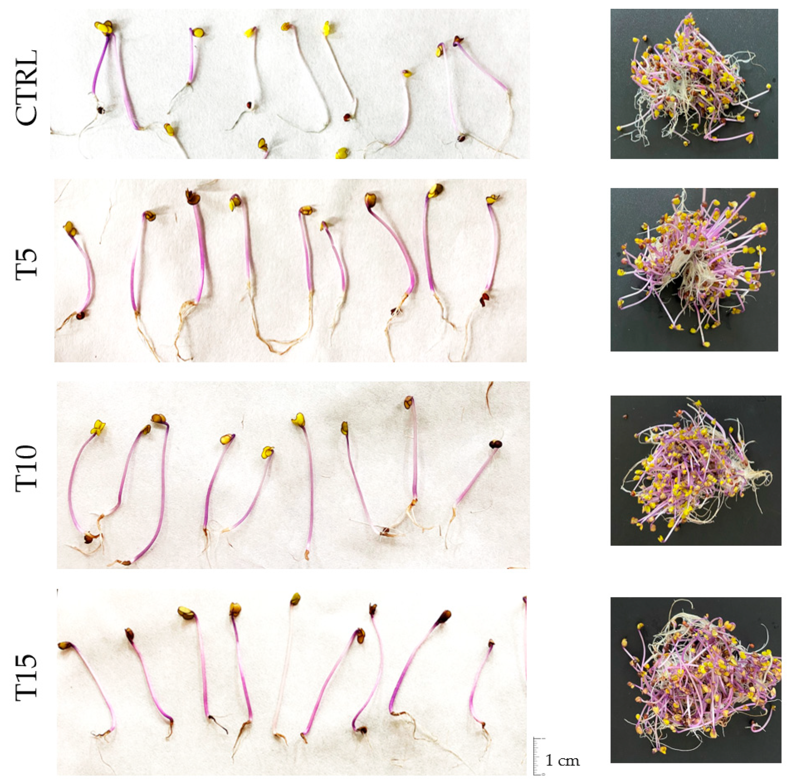 Horticulturae 07 00567 g002 Horticulturae 07 00567 g002