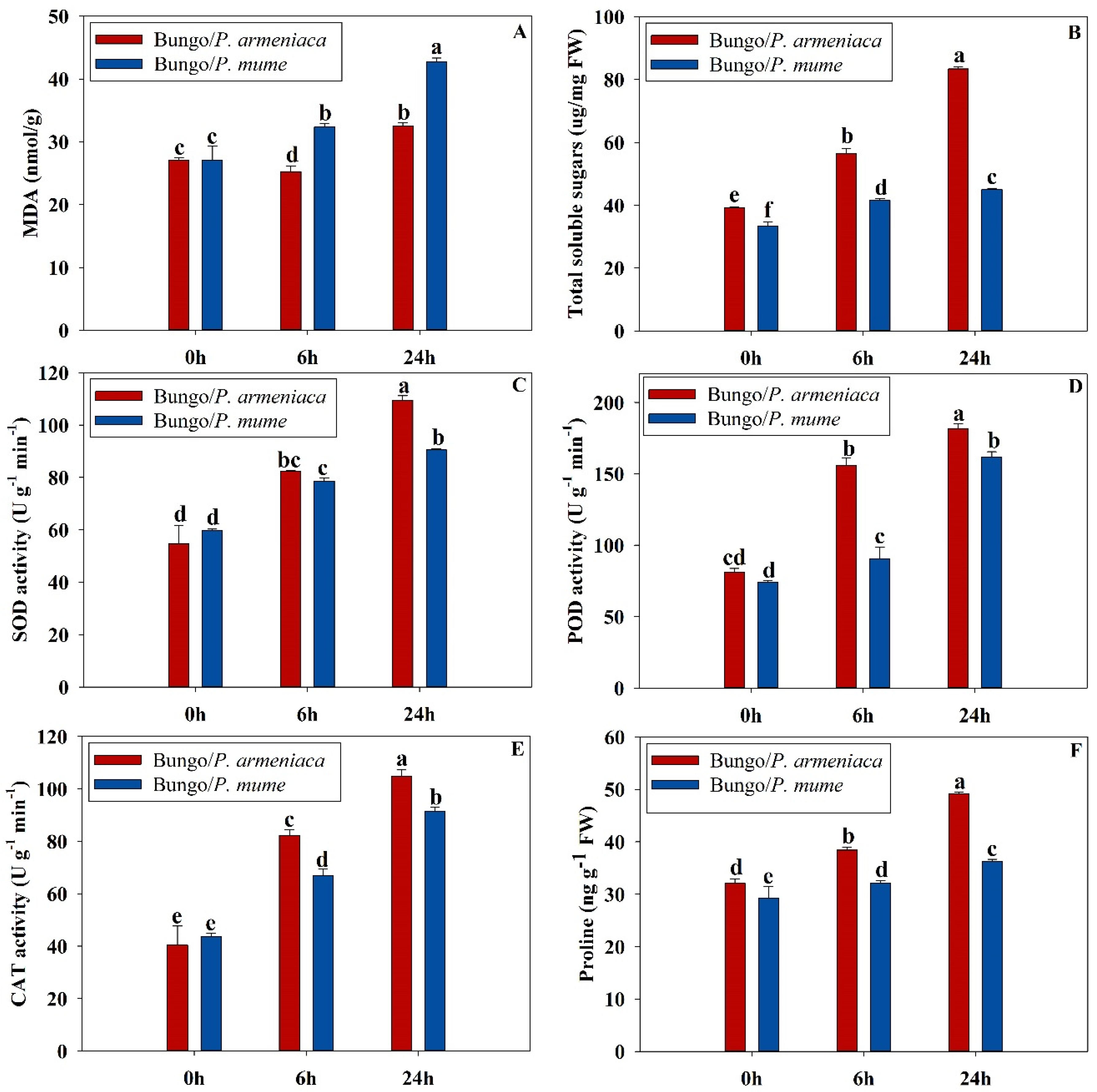 Horticulturae 07 00572 g001 550