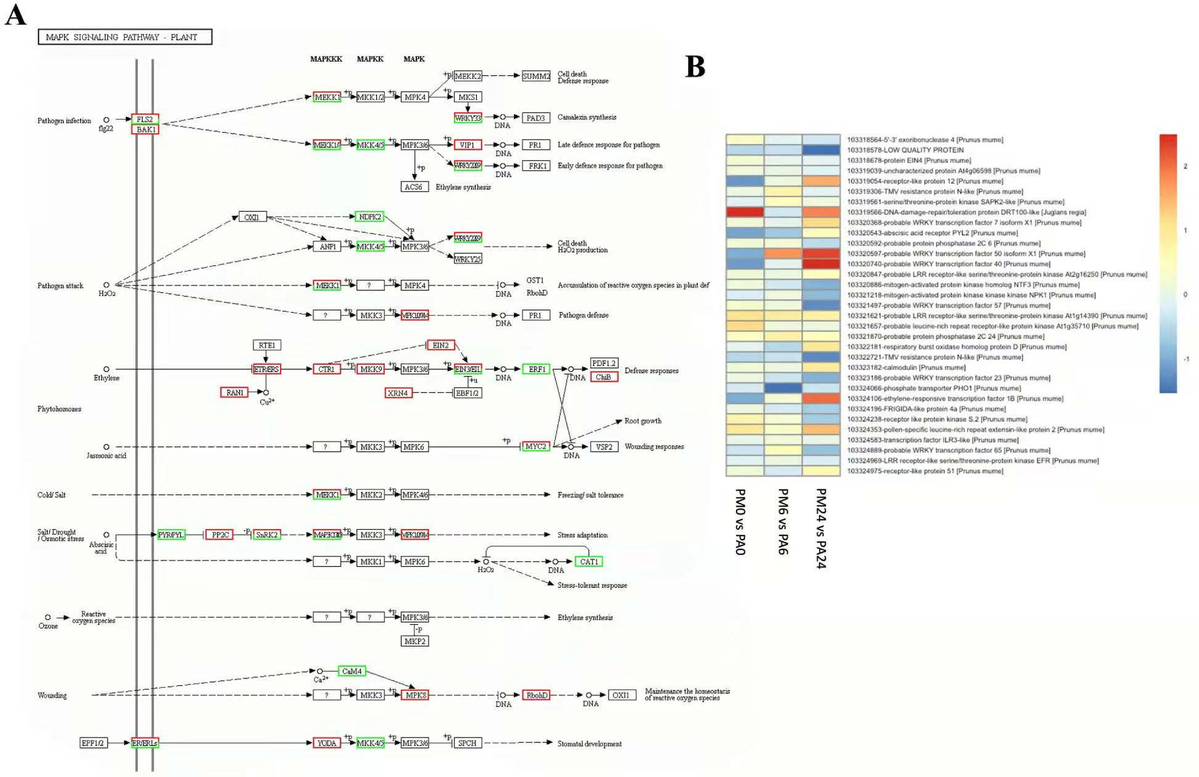 Horticulturae 07 00572 g006 550
