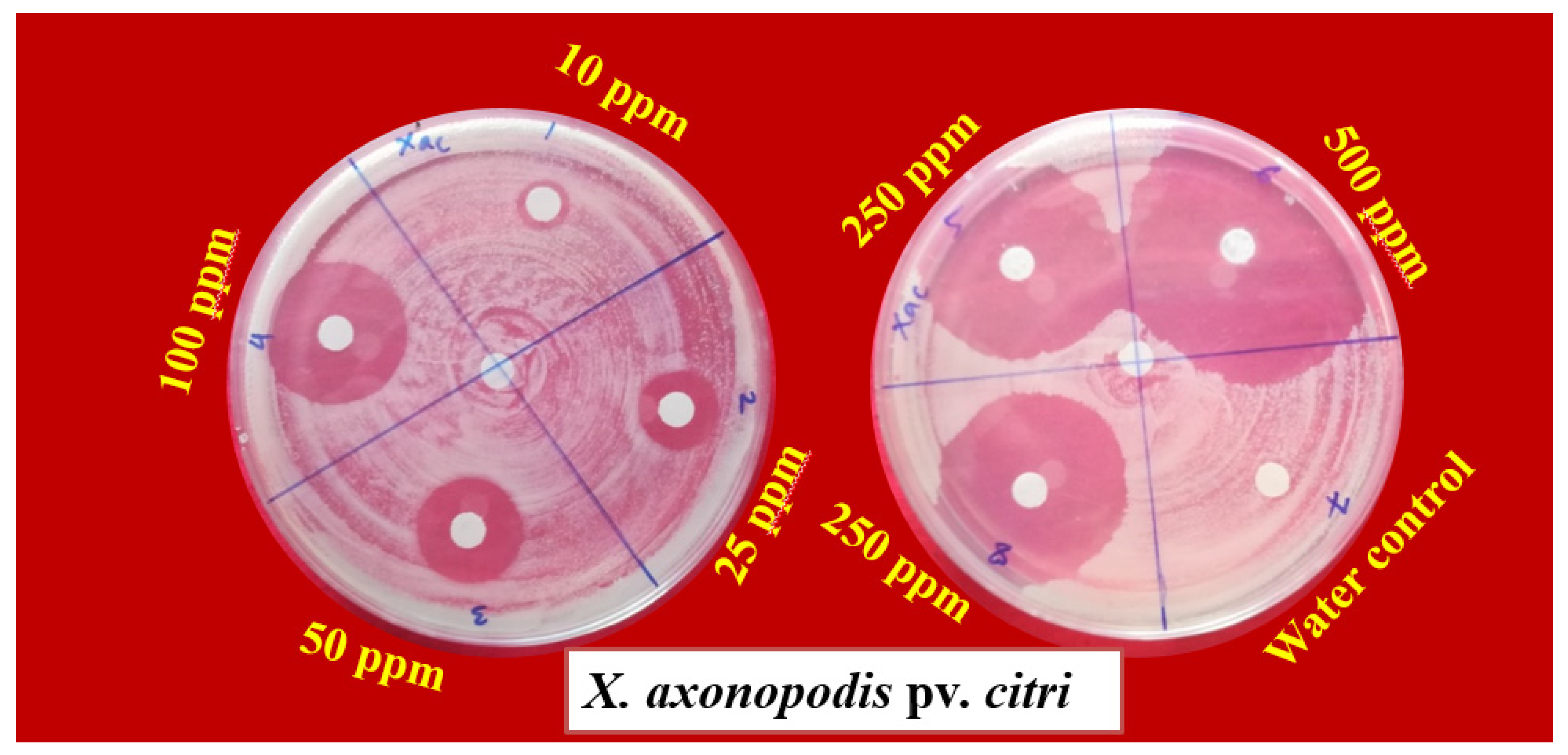 Horticulturae 07 00573 g002