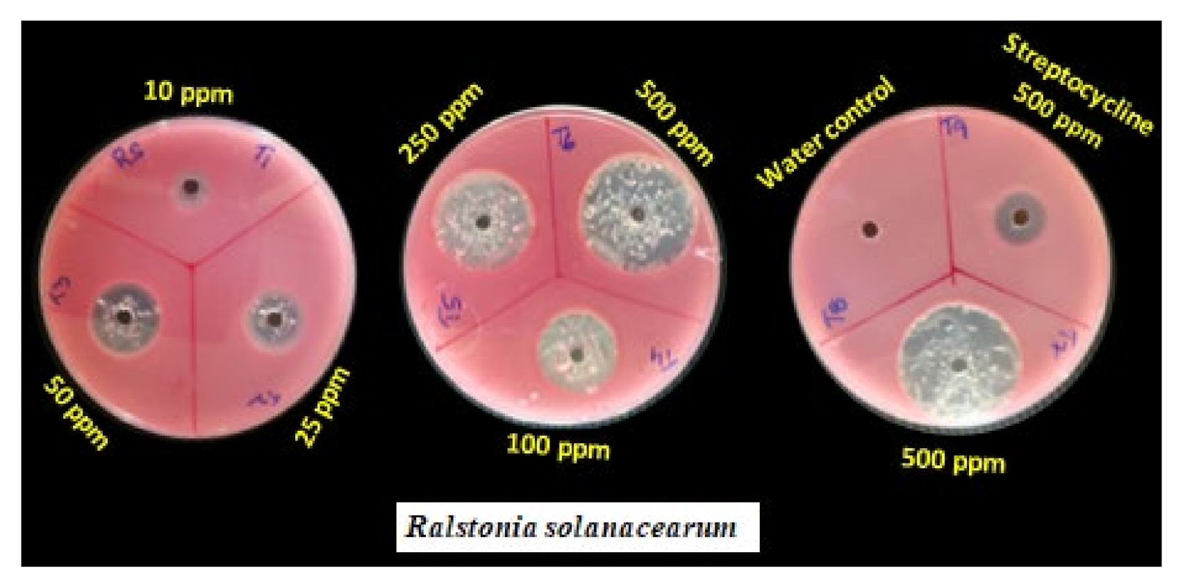 Horticulturae 07 00573 g004