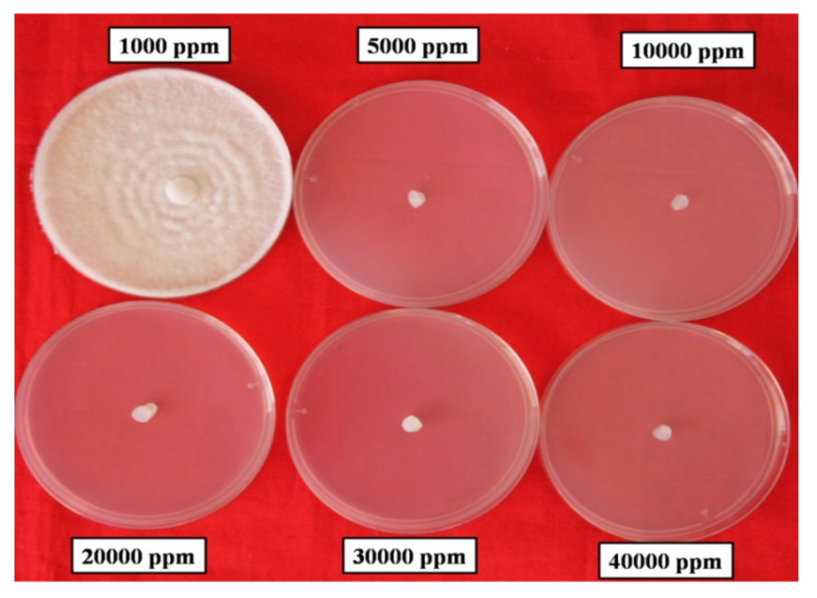 Horticulturae 07 00573 g005