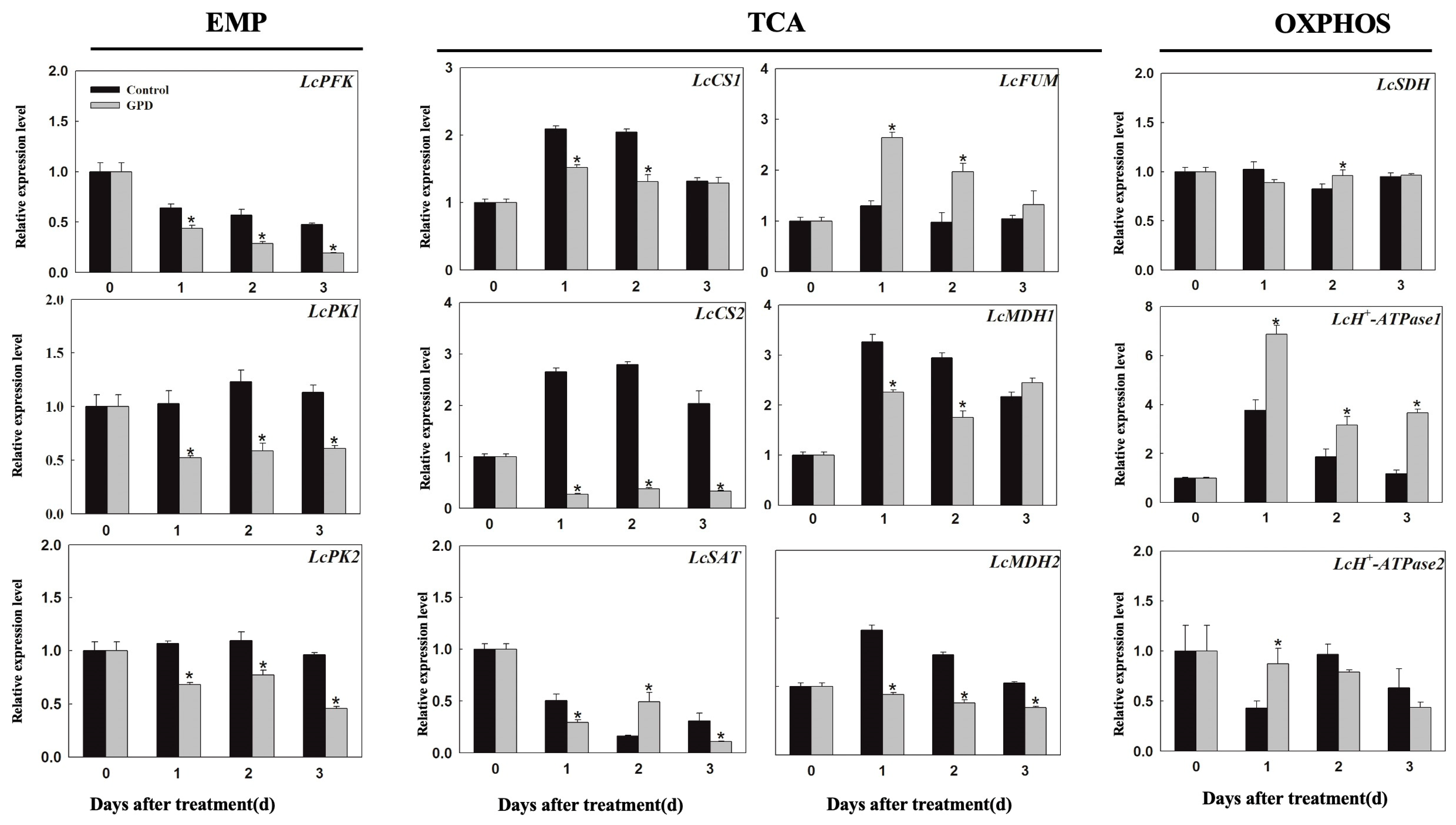 Horticulturae 07 00576 g007