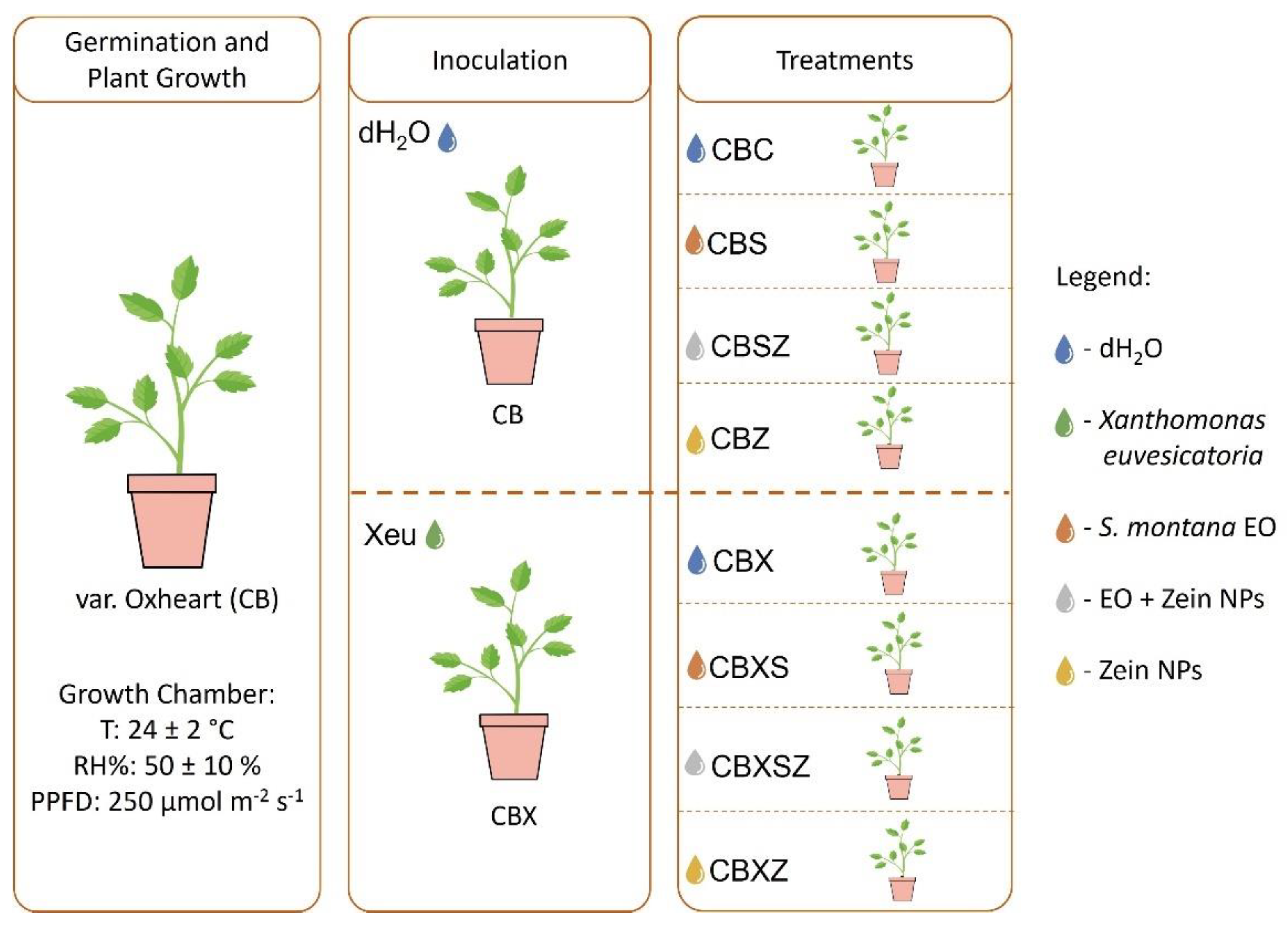 Horticulturae 07 00584 g001 Horticulturae 07 00584 g001