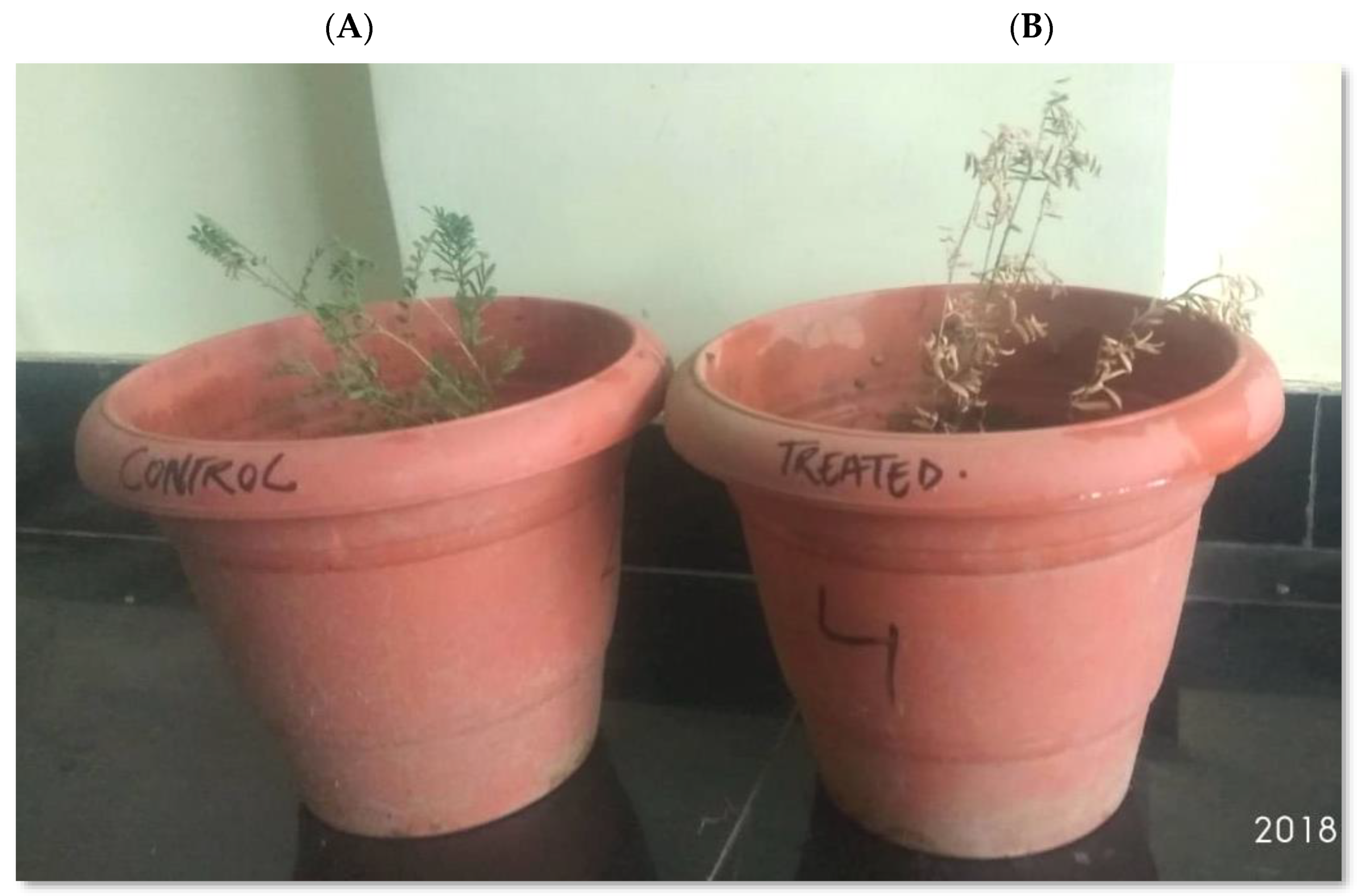 Horticulturae 07 00587 g001