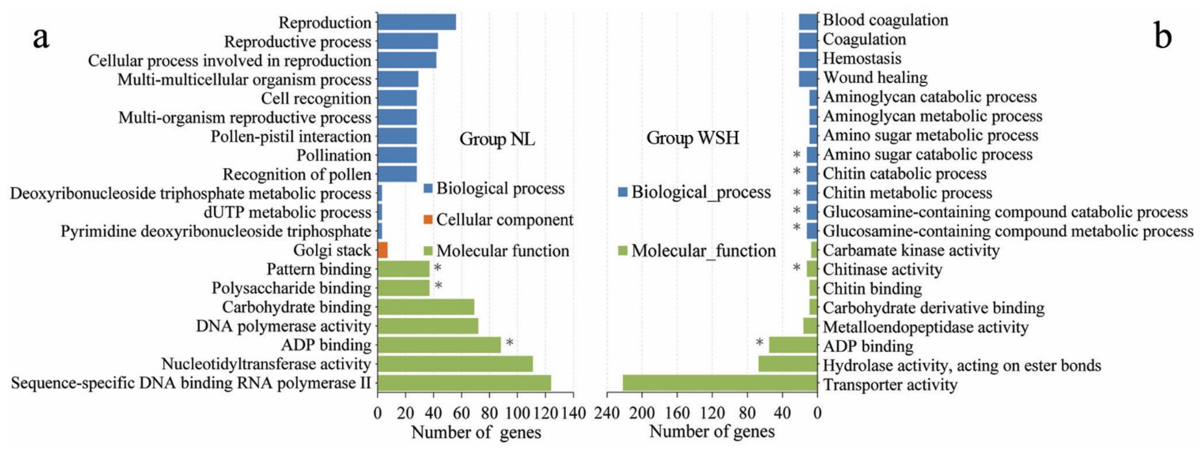 Horticulturae 07 00593 g003