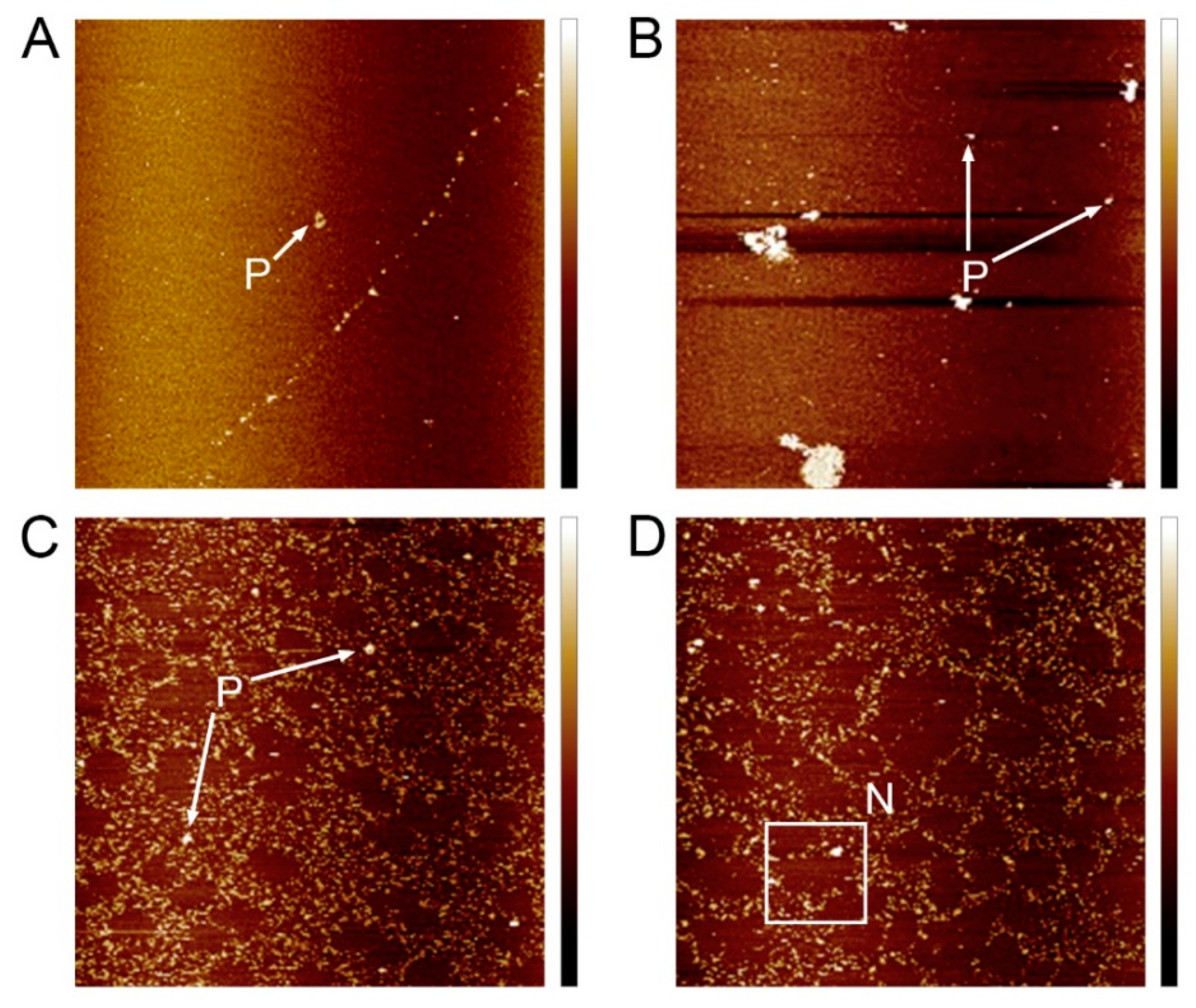 Horticulturae 08 00001 g005