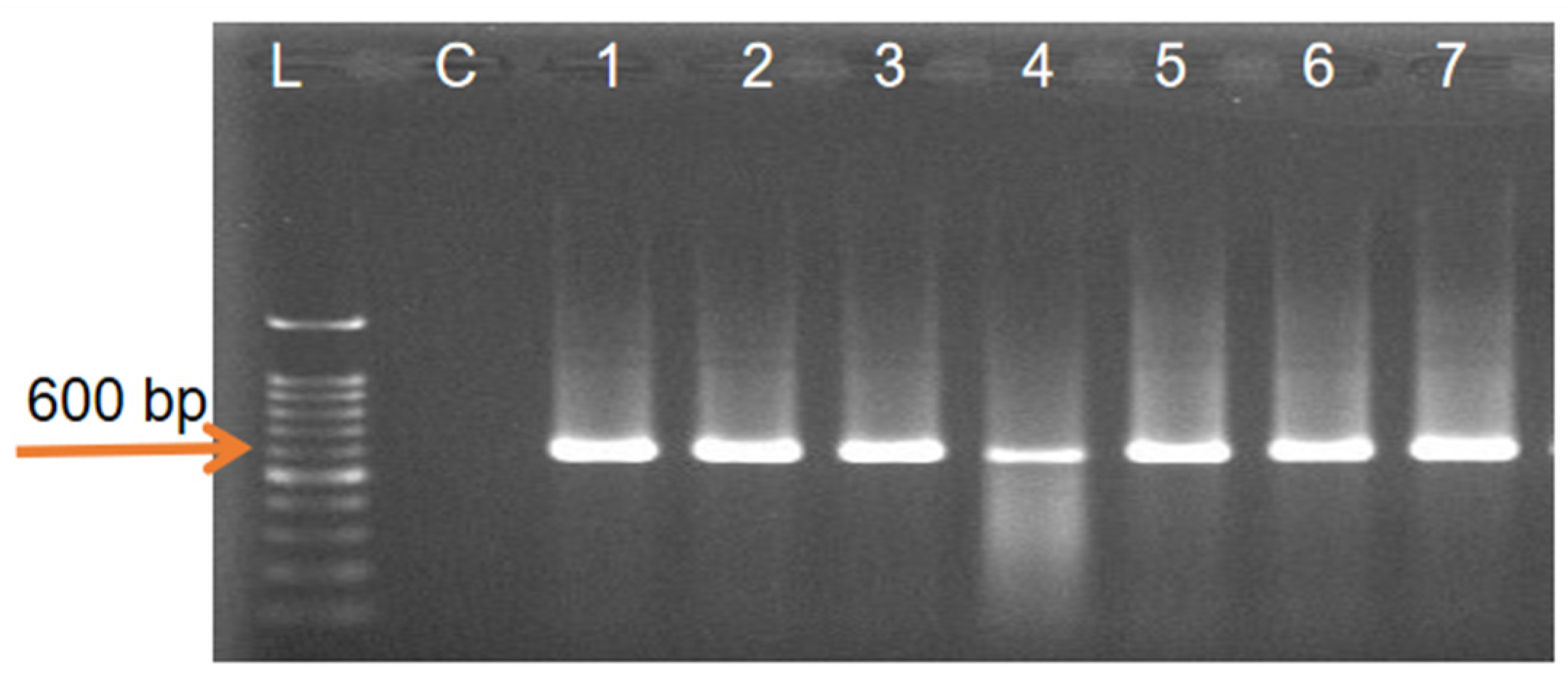 Horticulturae 08 00002 g002