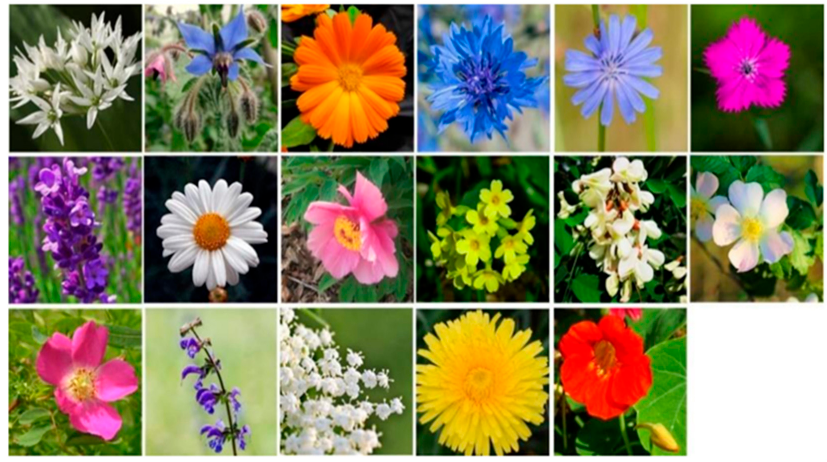 Horticulturae 08 00004 g001