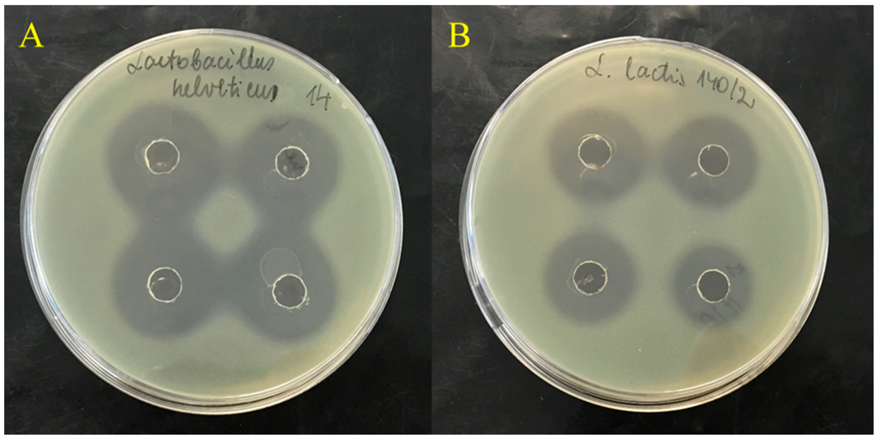 Horticulturae 08 00007 g002