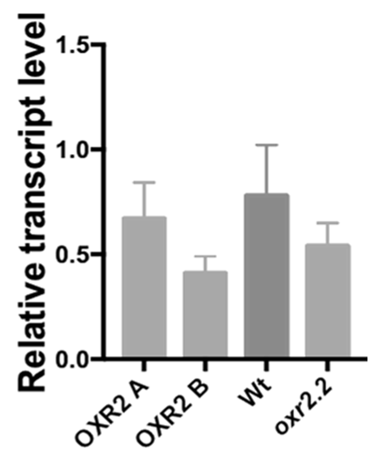 Horticulturae 08 00009 g005