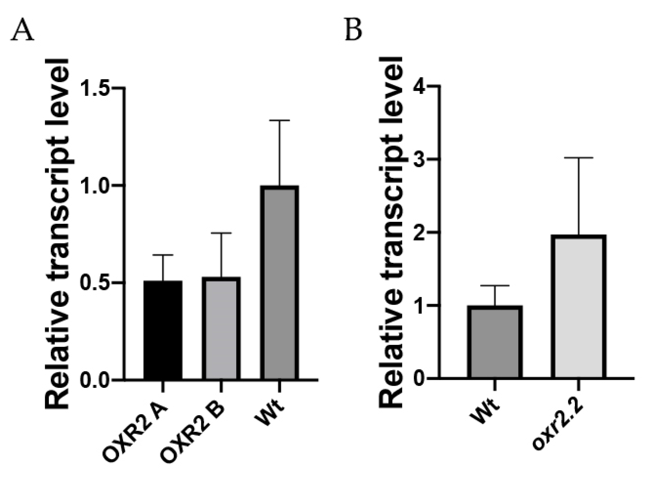 Horticulturae 08 00009 g006