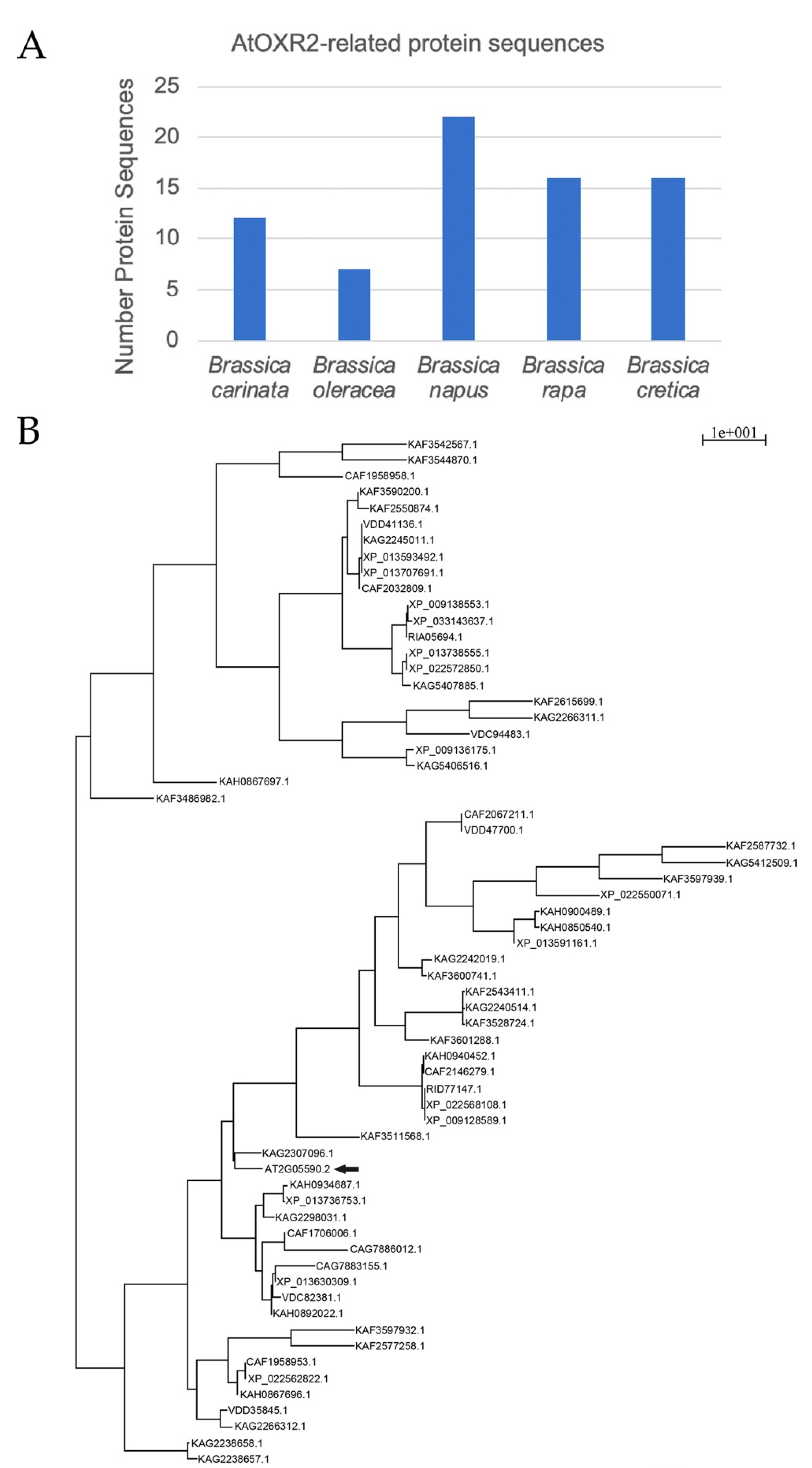 Horticulturae 08 00009 g007