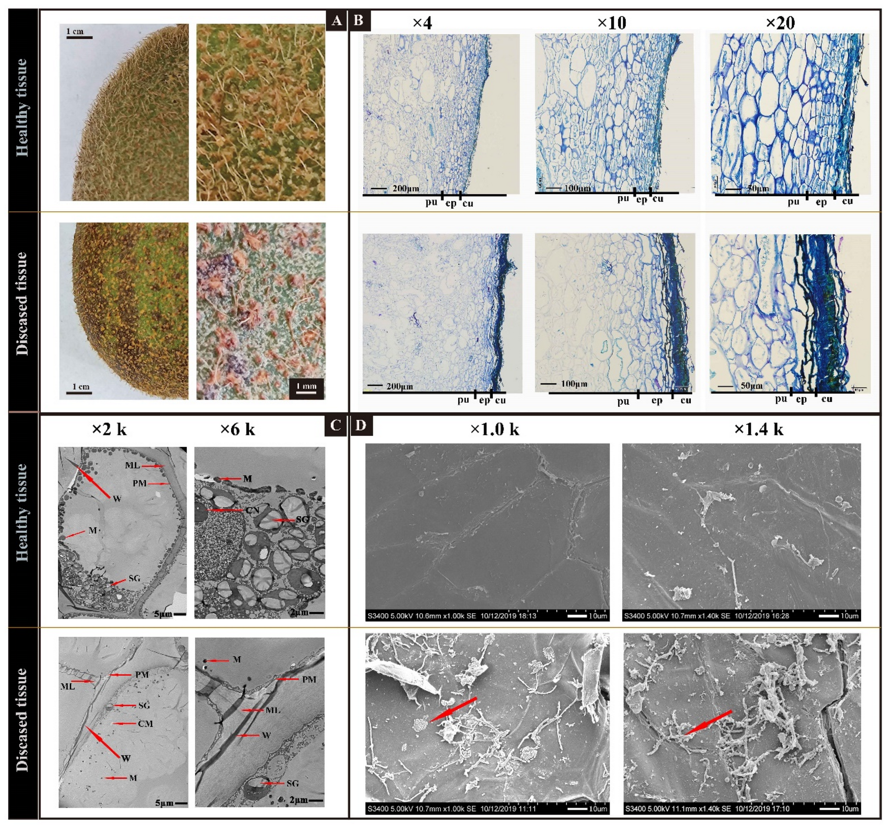 Horticulturae 08 00013 g001 550