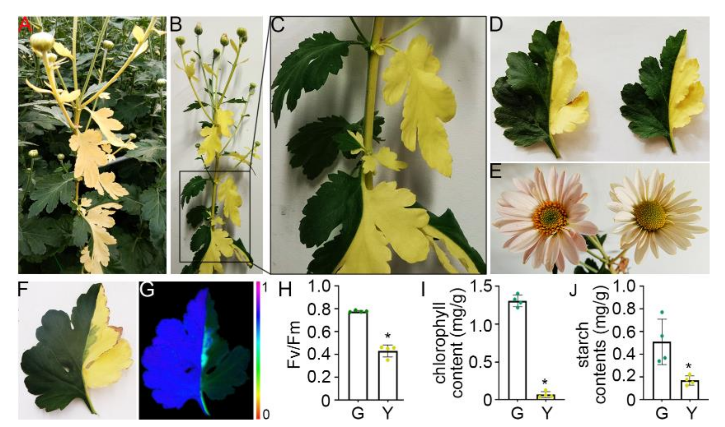 Horticulturae 08 00014 g001