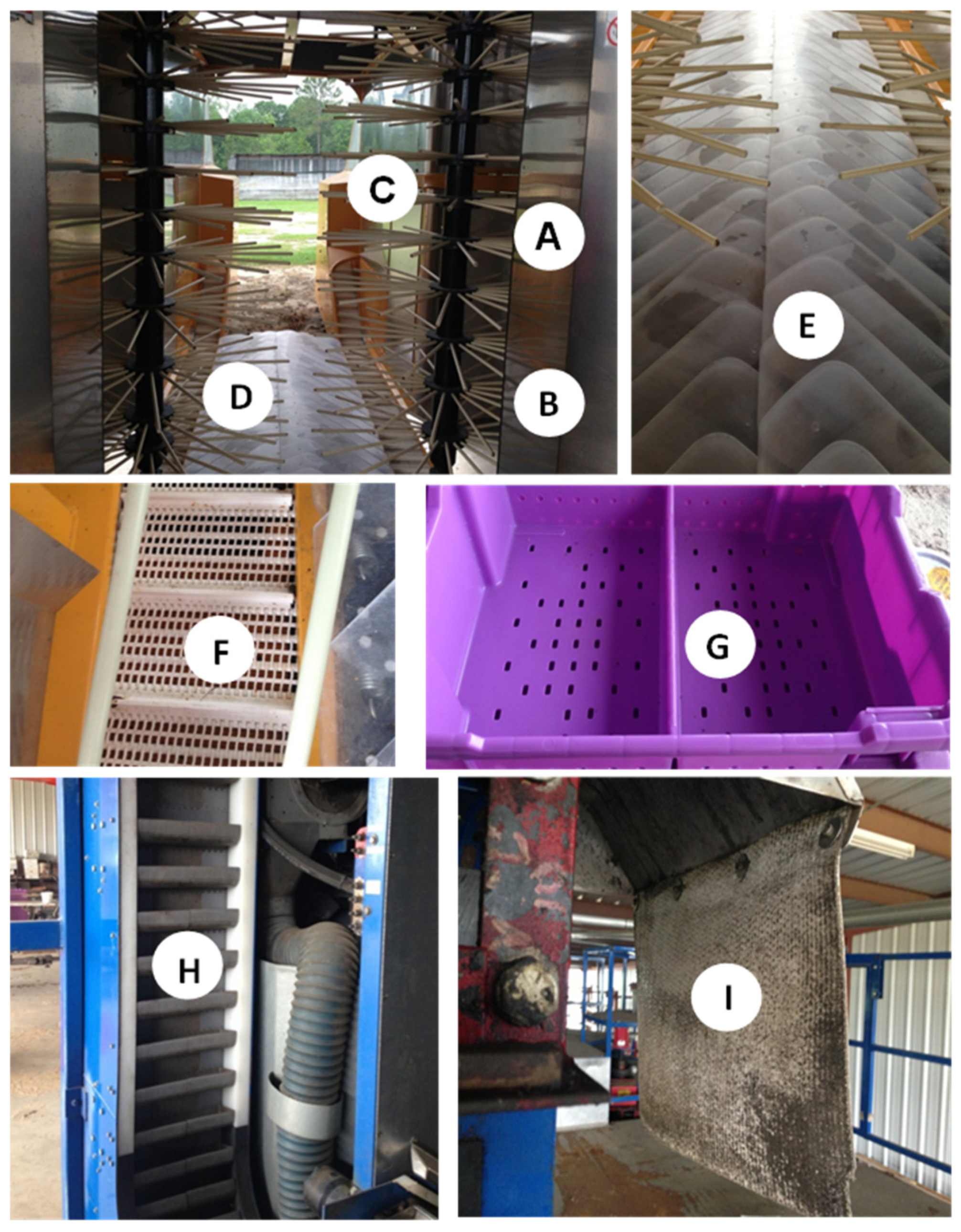 Horticulturae 08 00020 g001 Horticulturae 08 00020 g001