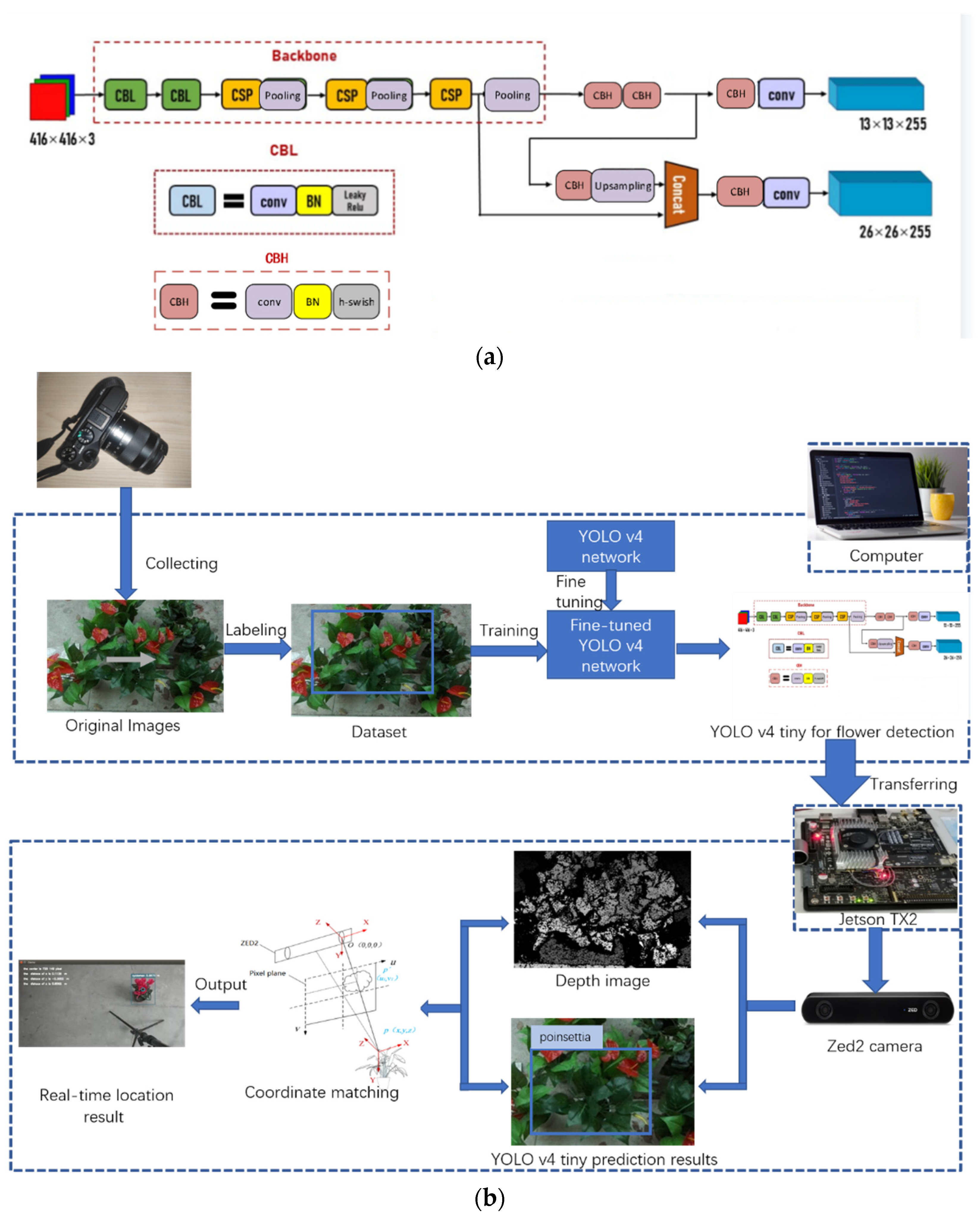Horticulturae 08 00021 g001